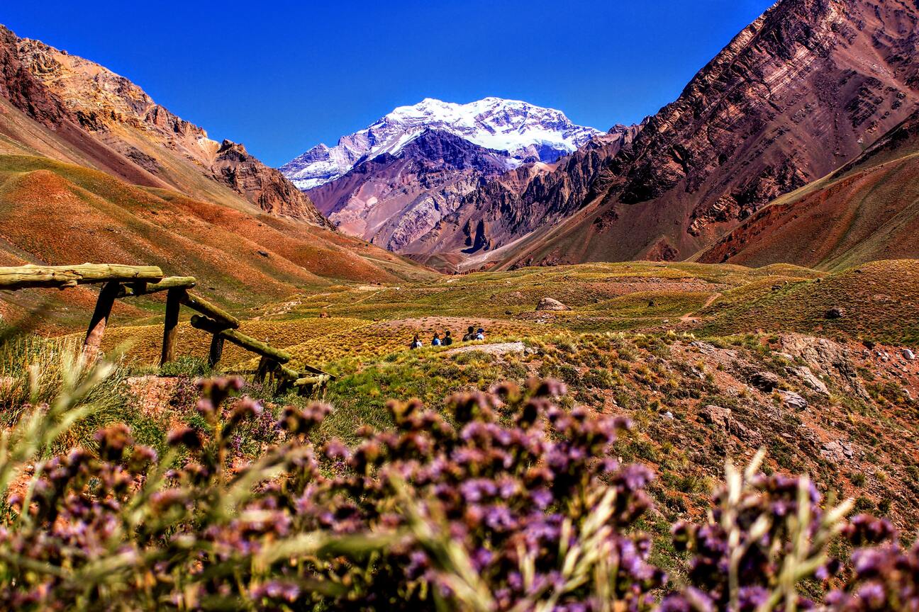 Things to do in Mendoza