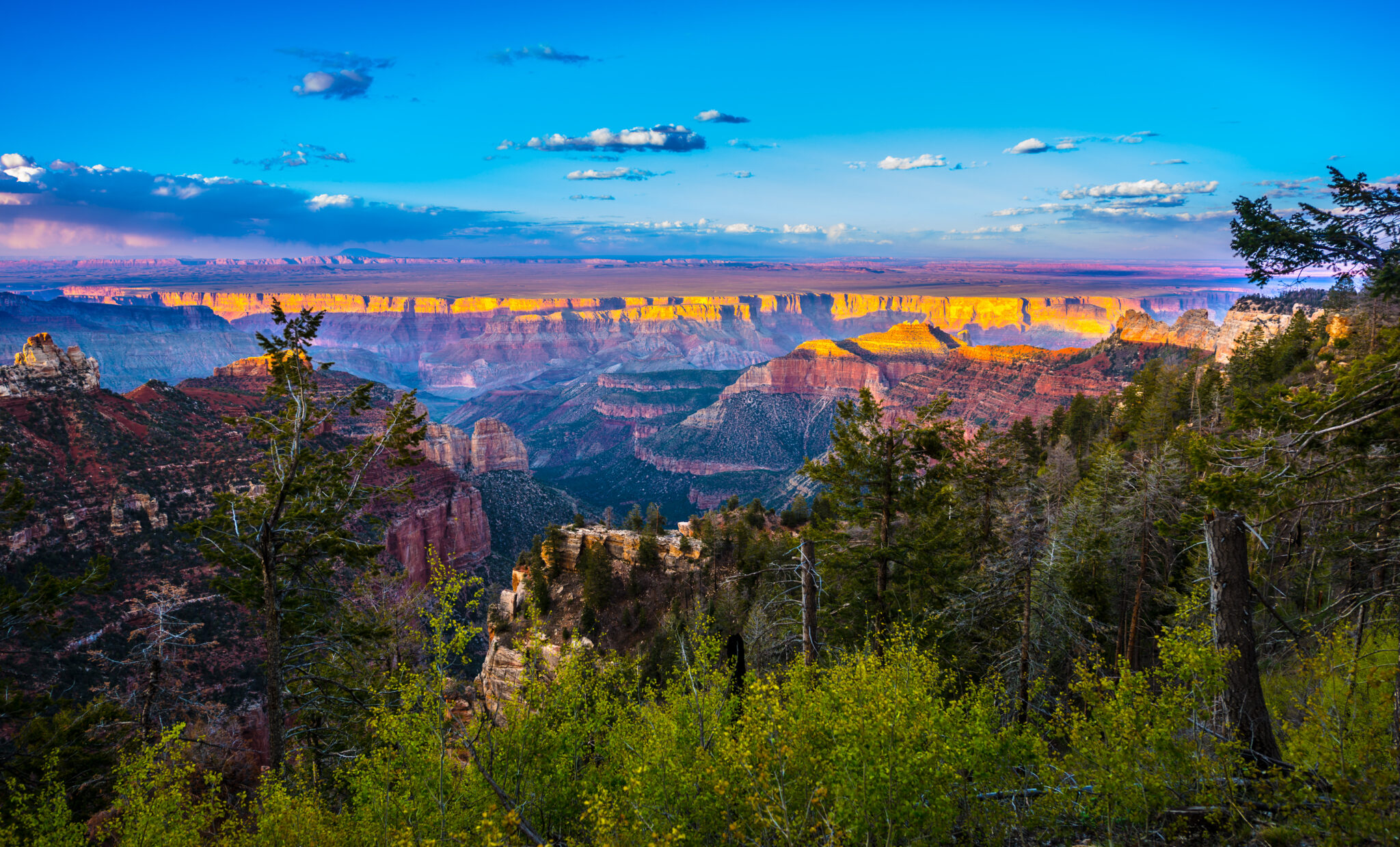 Which Grand Canyon Rim is Best to Visit? A Guide to the South, North ...