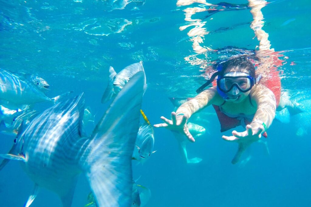 A child dives through fish while snorkeling at the Marieta Islands near Puerto Vallarta