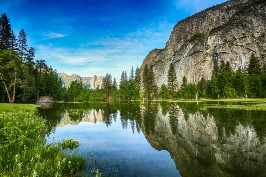 A lake reflects the trees and cliffs of Yosemite on a clear day with blue skies