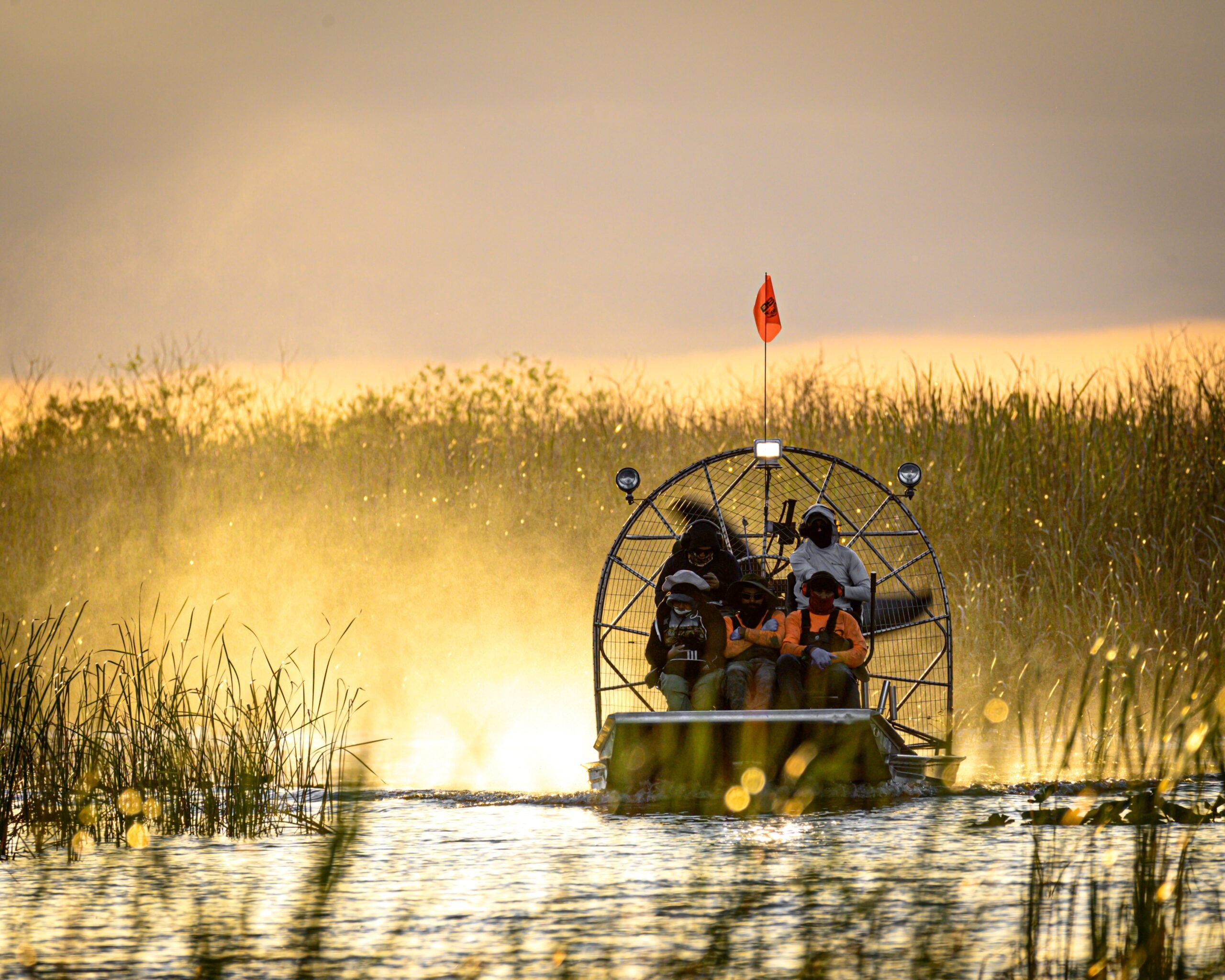The Everglades: An Airboat Adventure to See the Alligators From Orlando