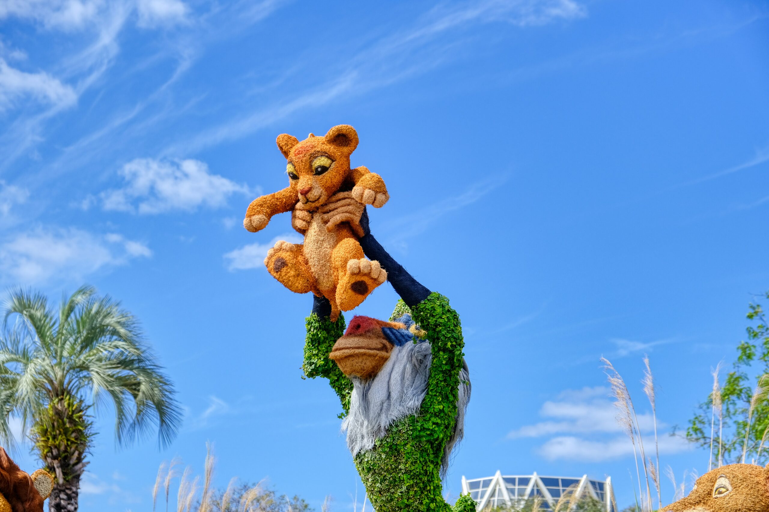 Simba is held aloft by Rafiki