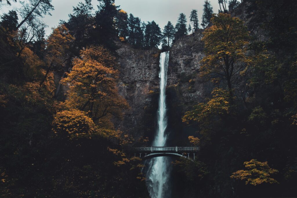 Multnomah Falls can be seen in full, surrounded by fall foliage