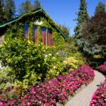 Flowers grow alongside a path and cover a building at Butchart Gardens, Vancouver