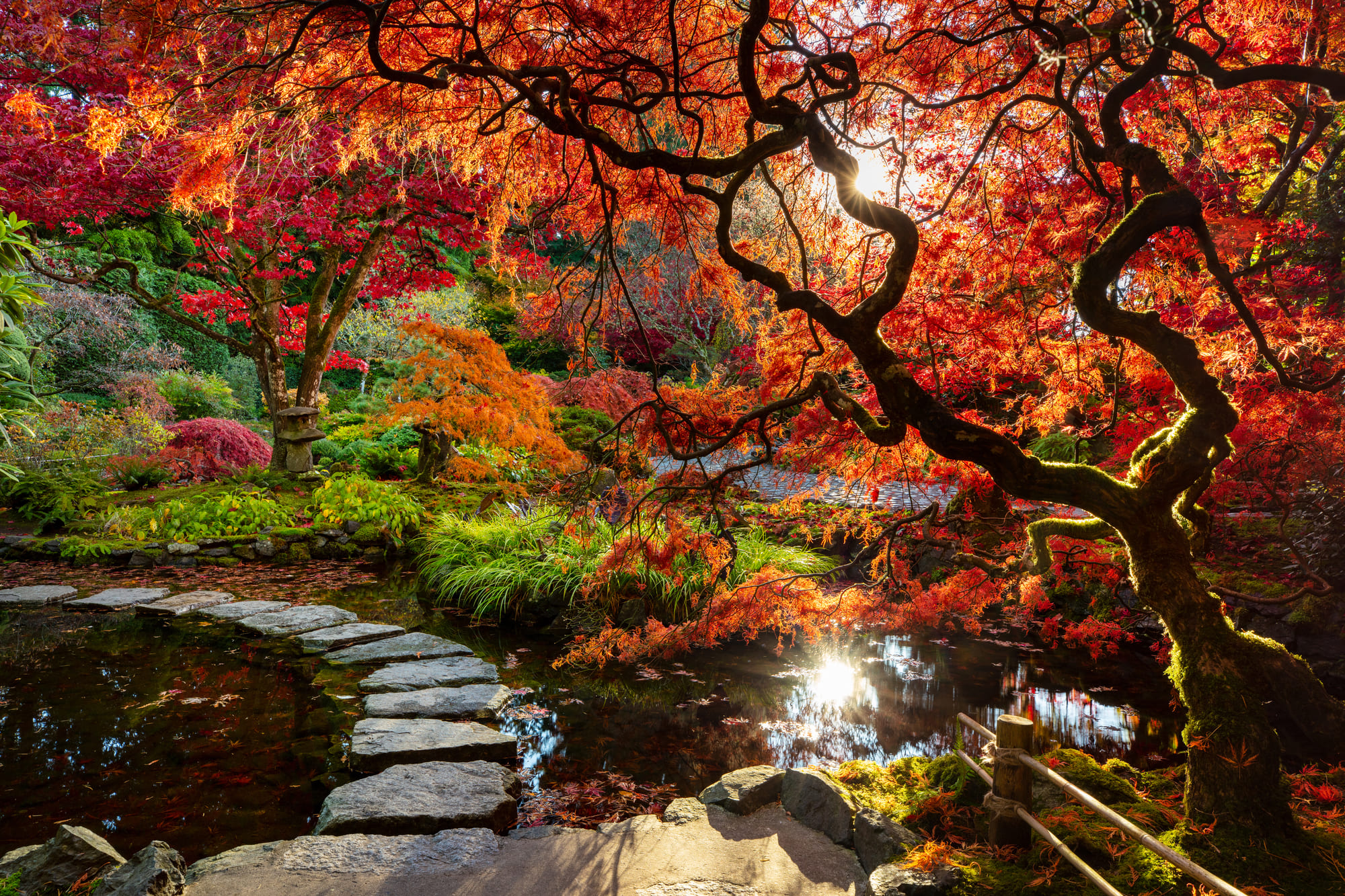 Things to do in Victoria