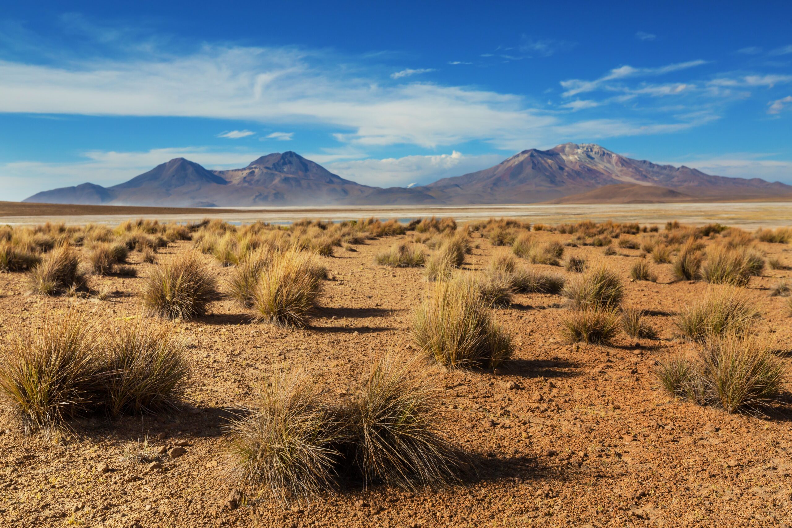 Things to do in Santiago