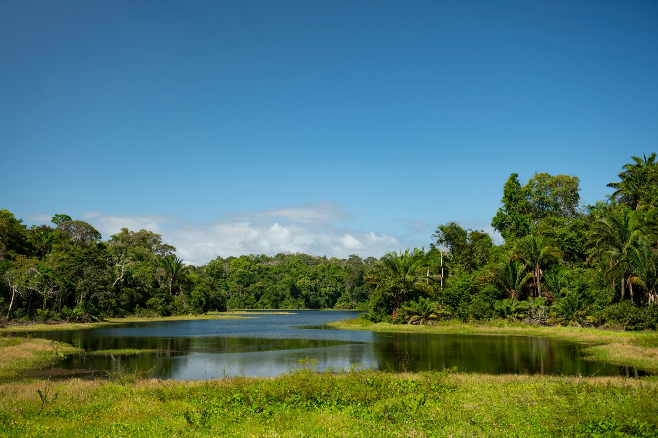 Things to do in Panama City