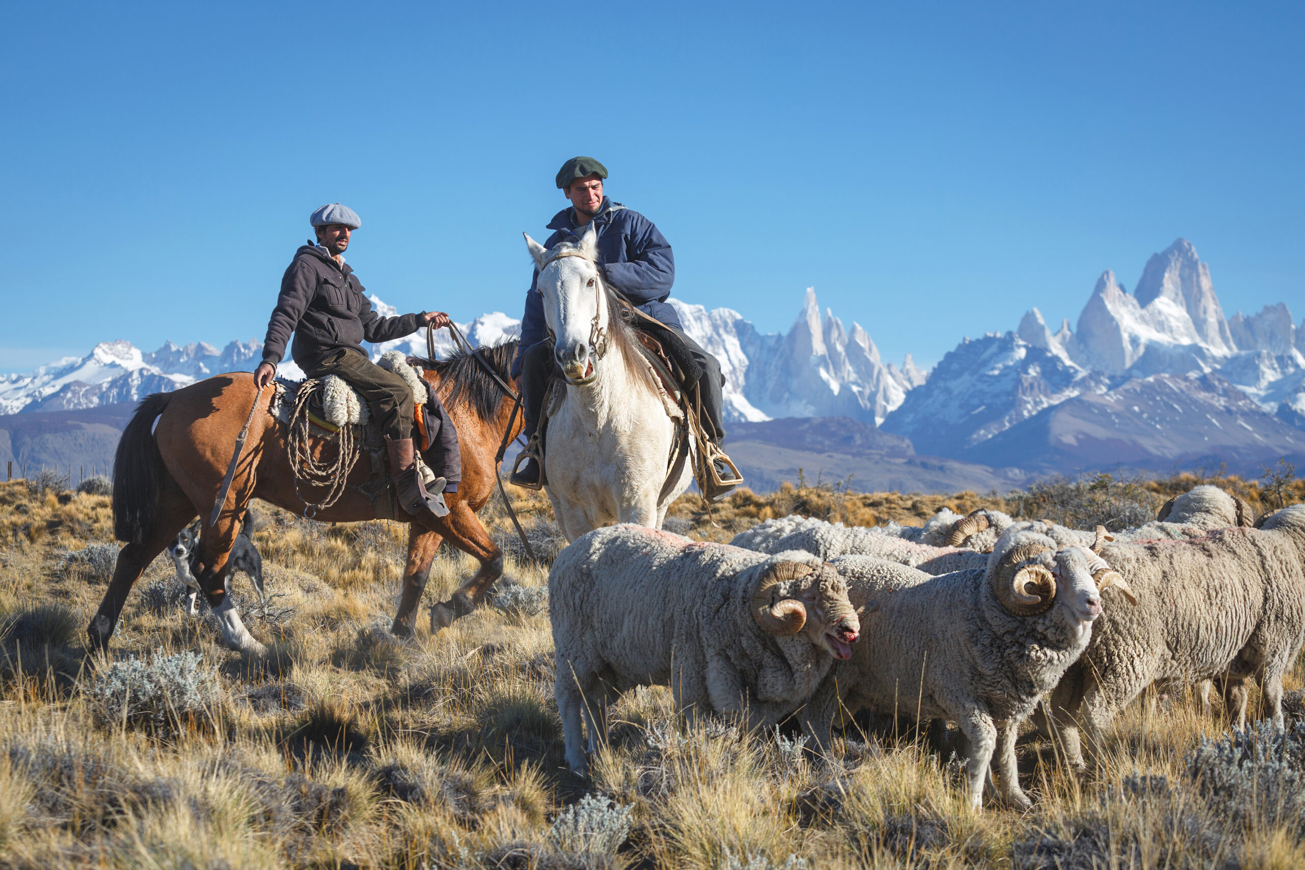 Things to do in El Calafate