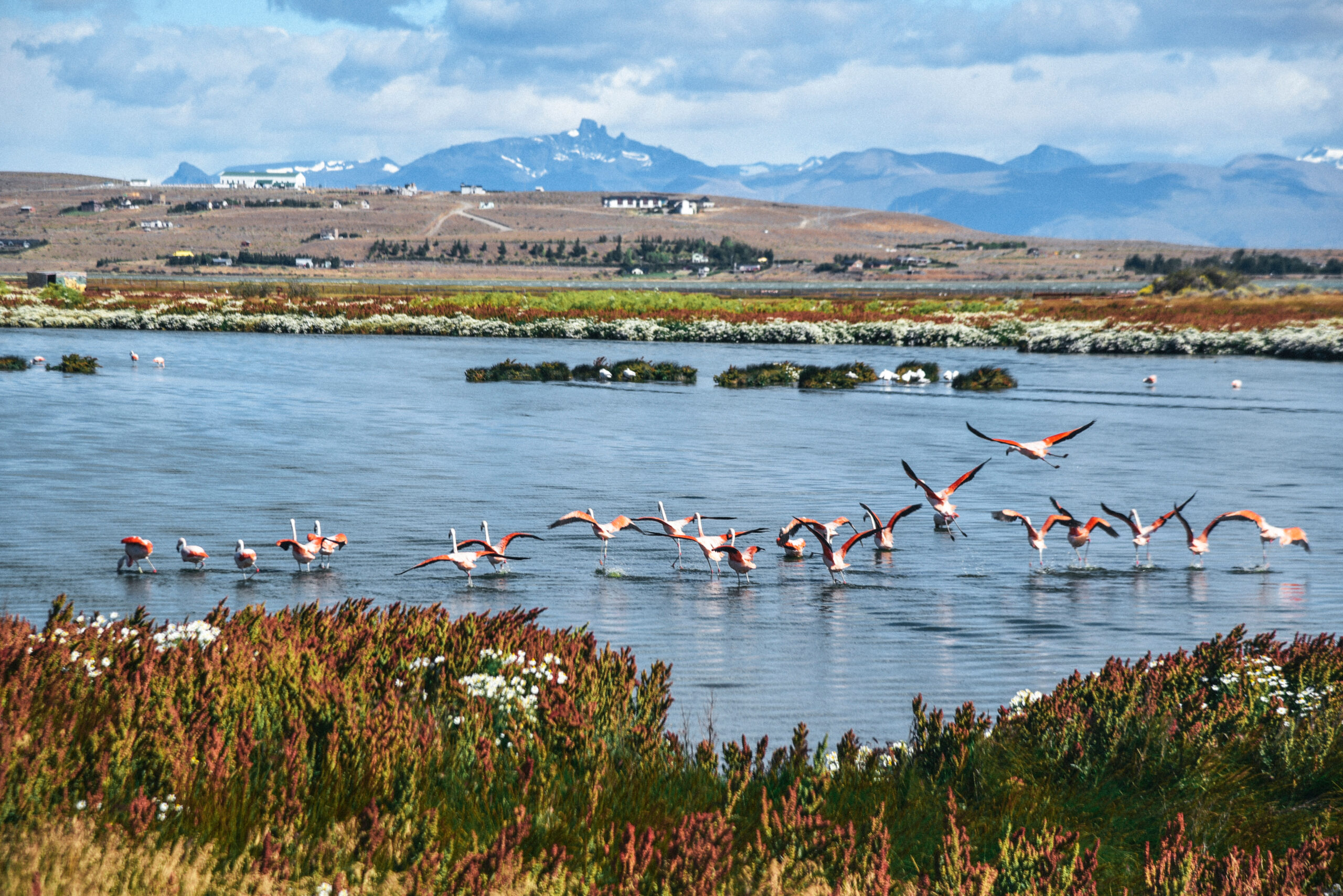 Things to do in El Calafate