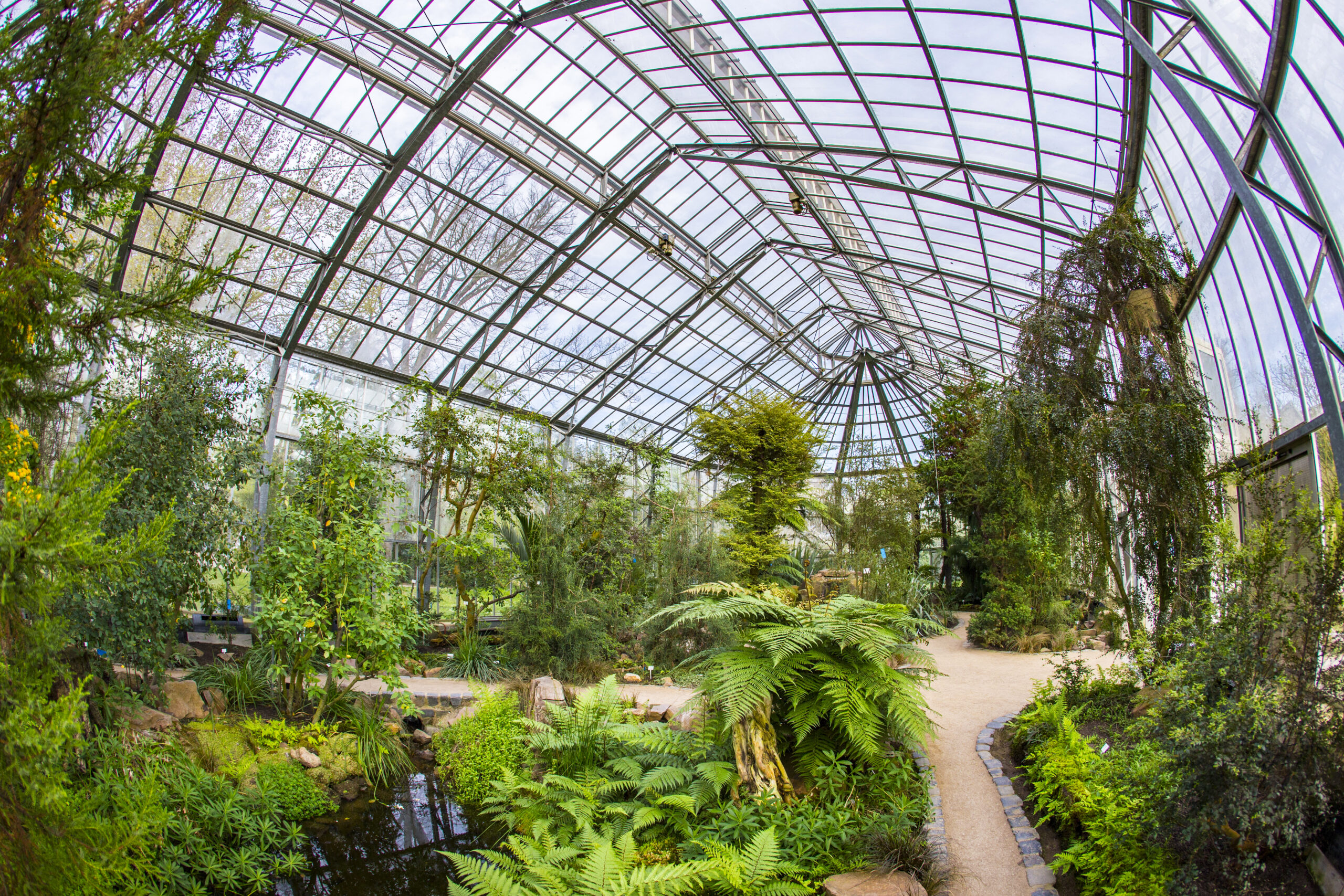 Things to do in Frankfurt