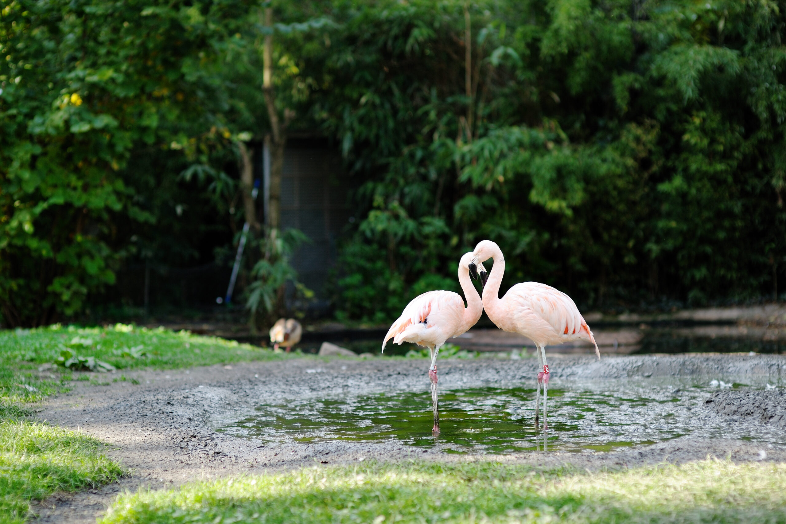 Things to do in Frankfurt