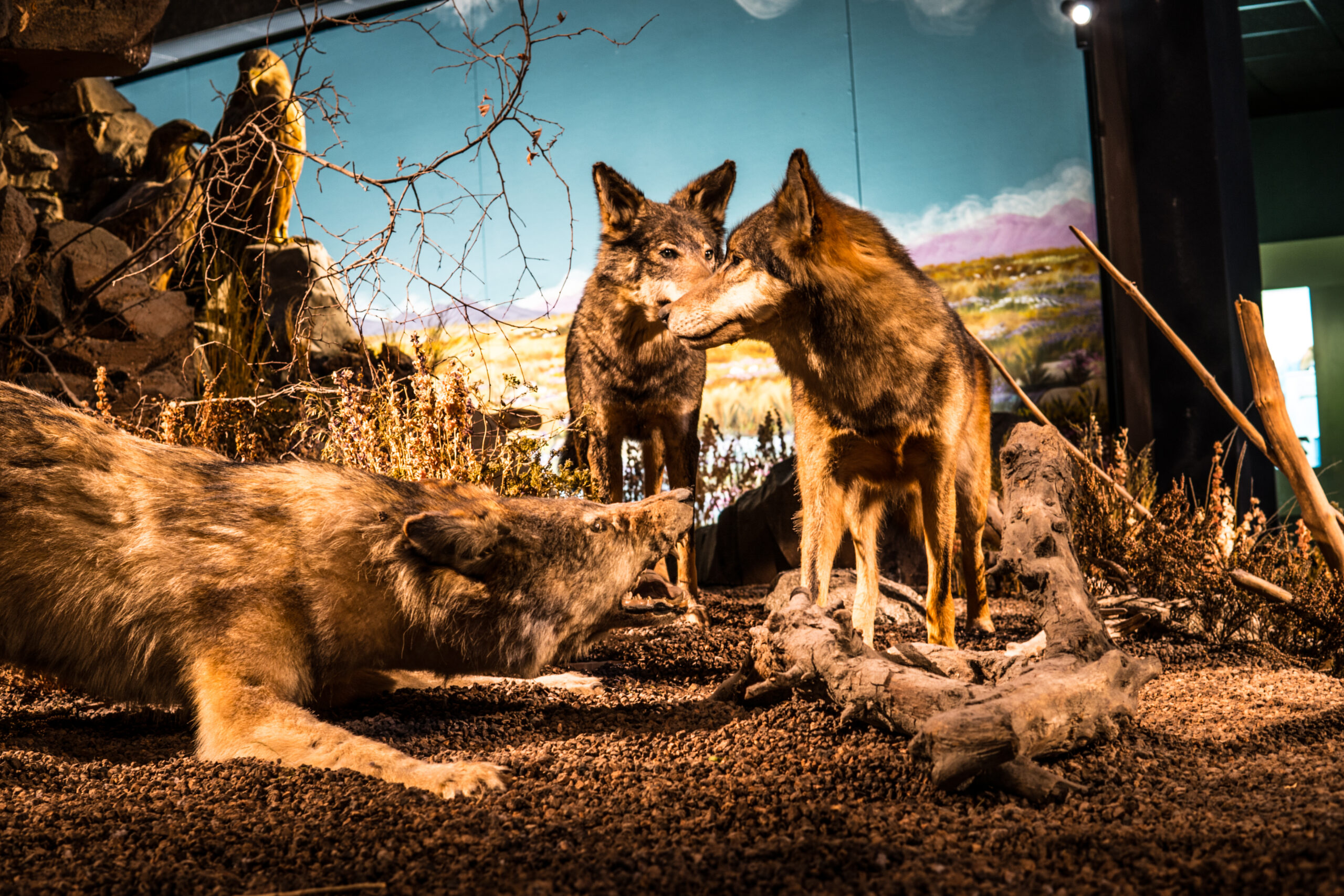 Things to do in Geneva