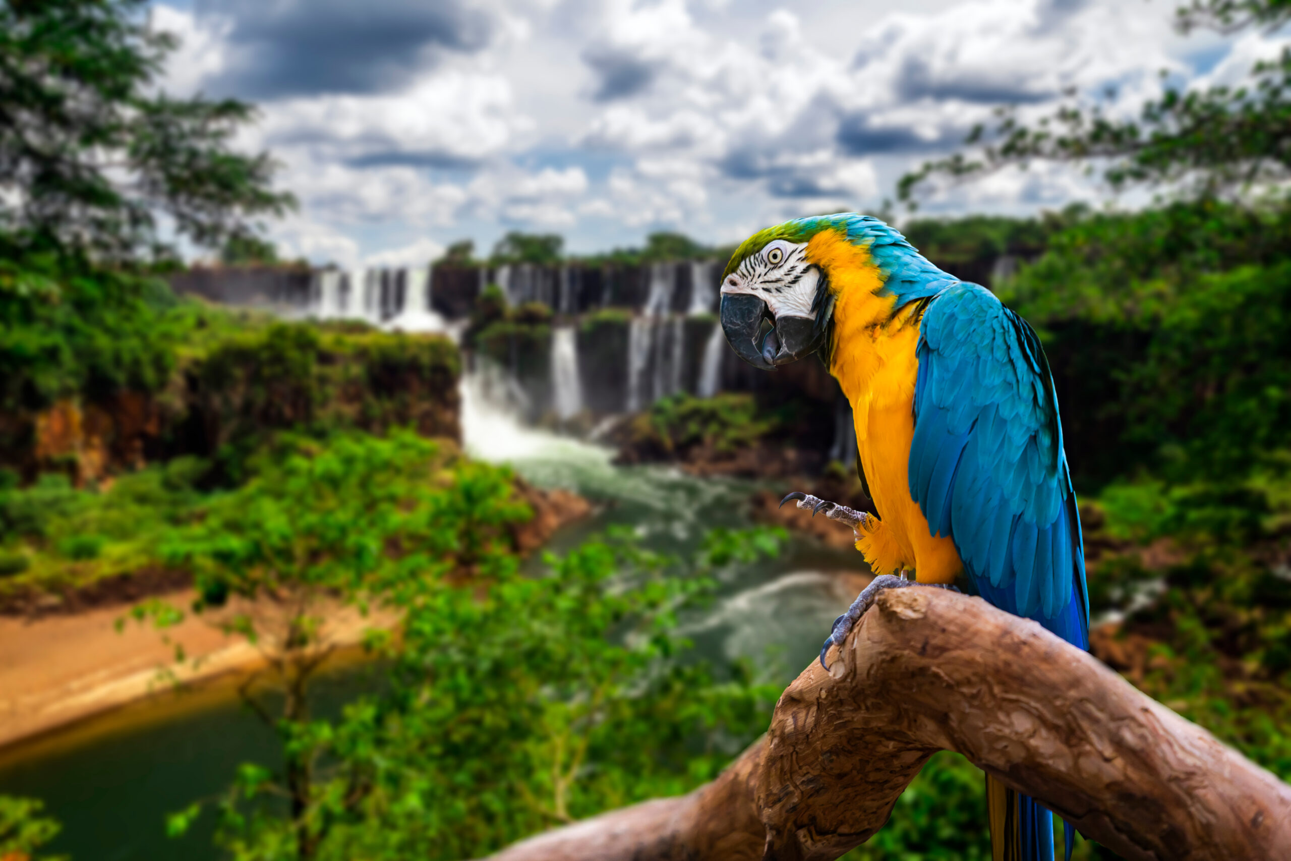 Things to do in Iguazu Falls, Brazil