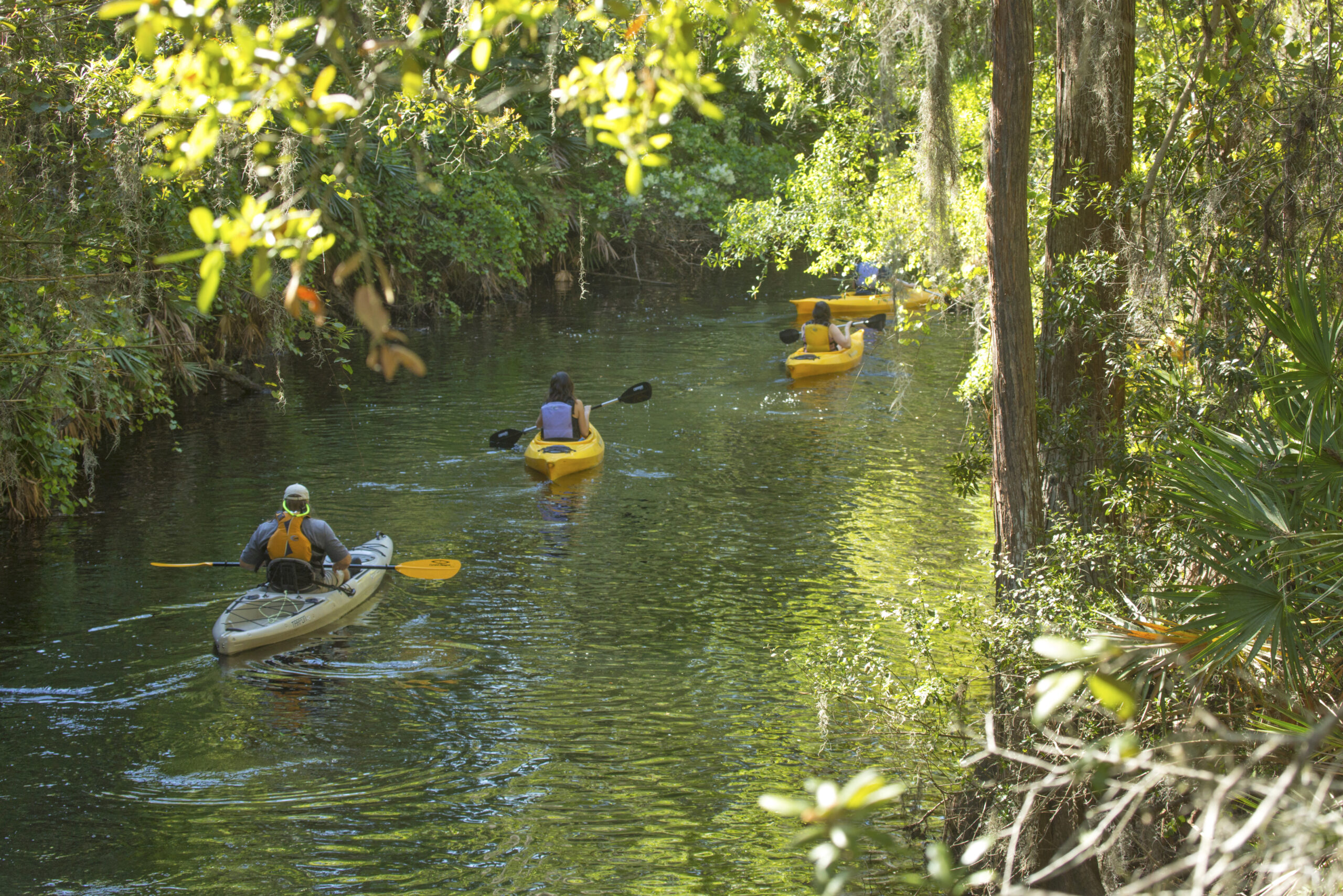 Things to do in Kissimmee