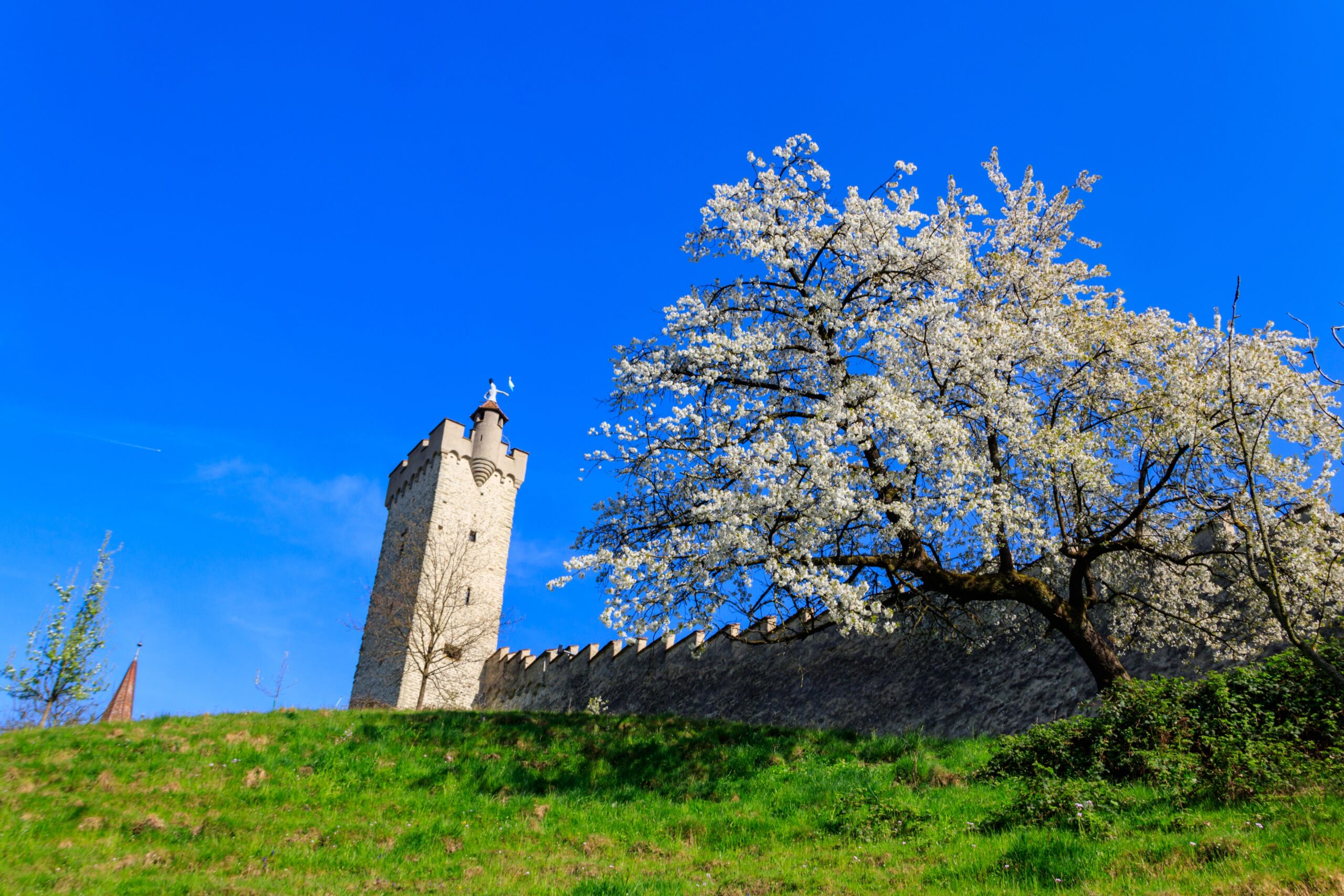 Things to do in Lucerne