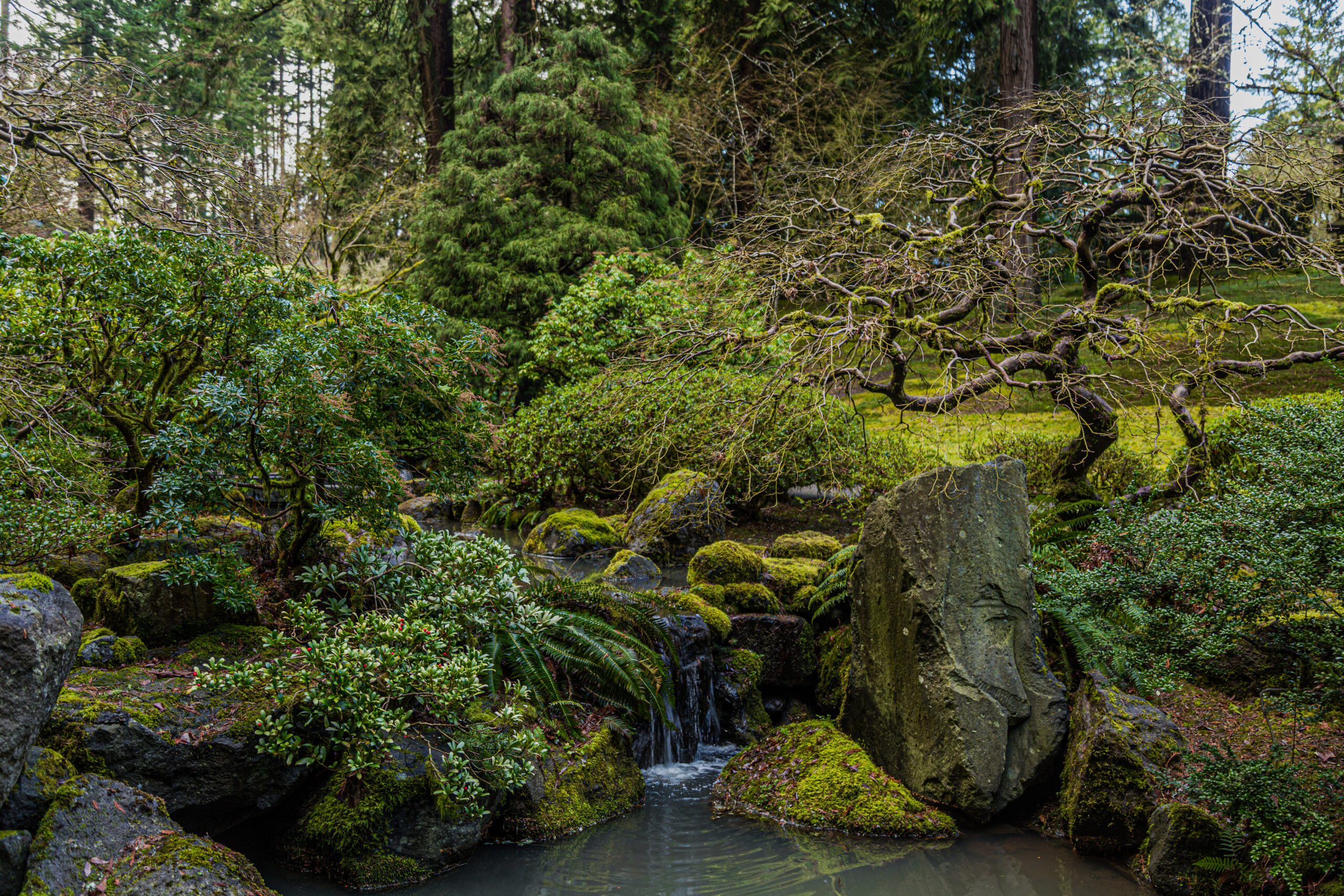 Things to do in Portland