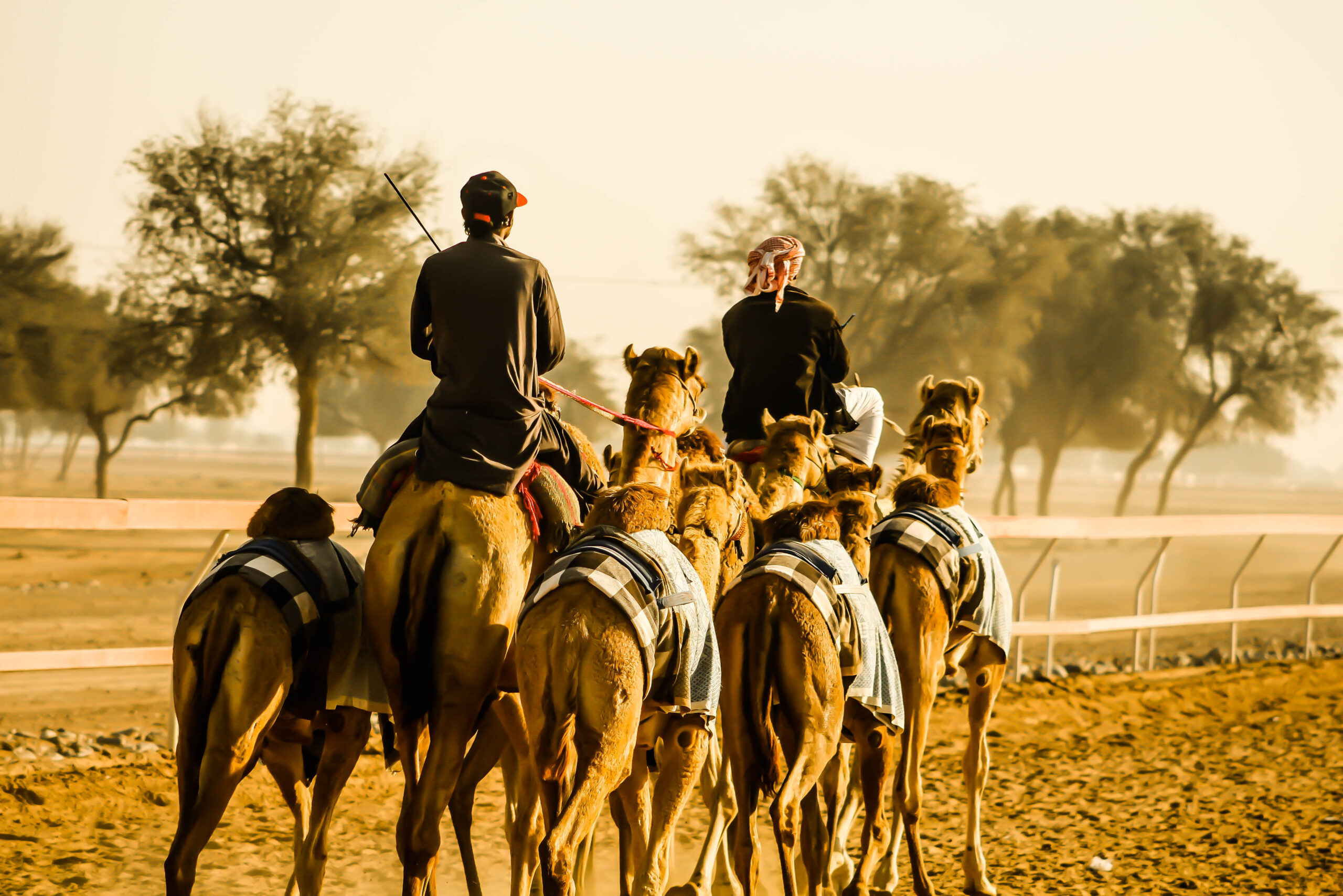 Things to do in Ras Al Khaimah