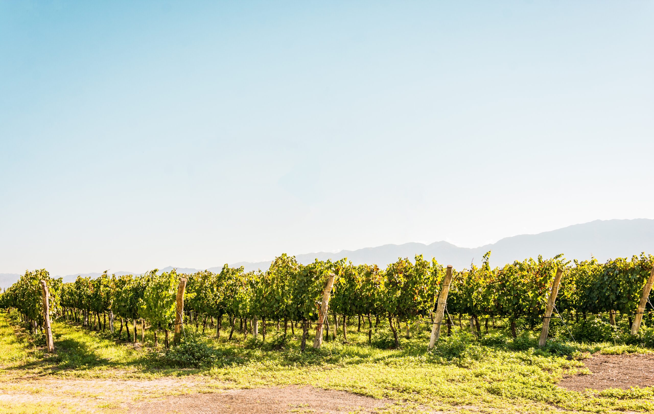 Things to do in Salta