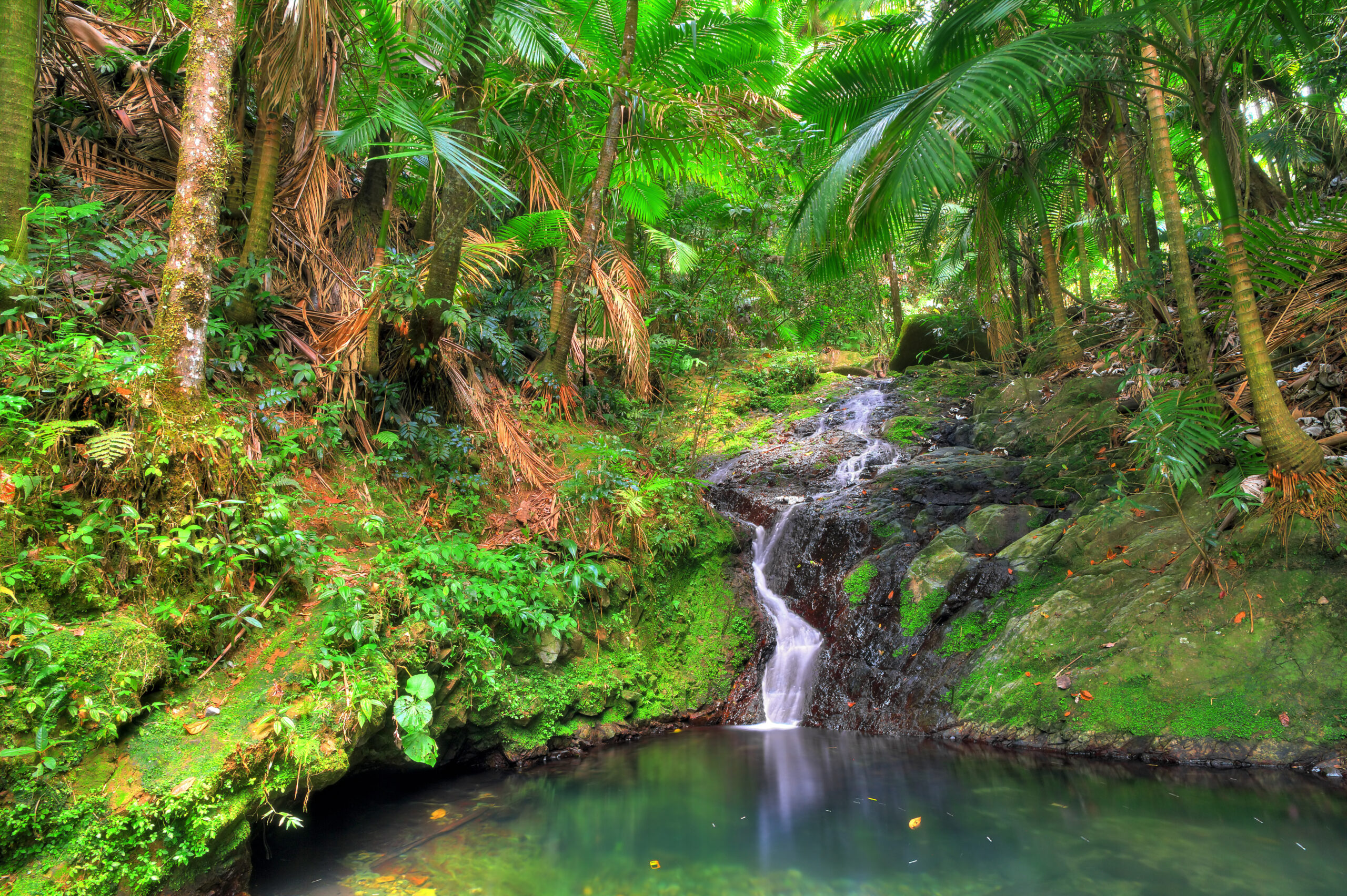 Things to do in San Juan