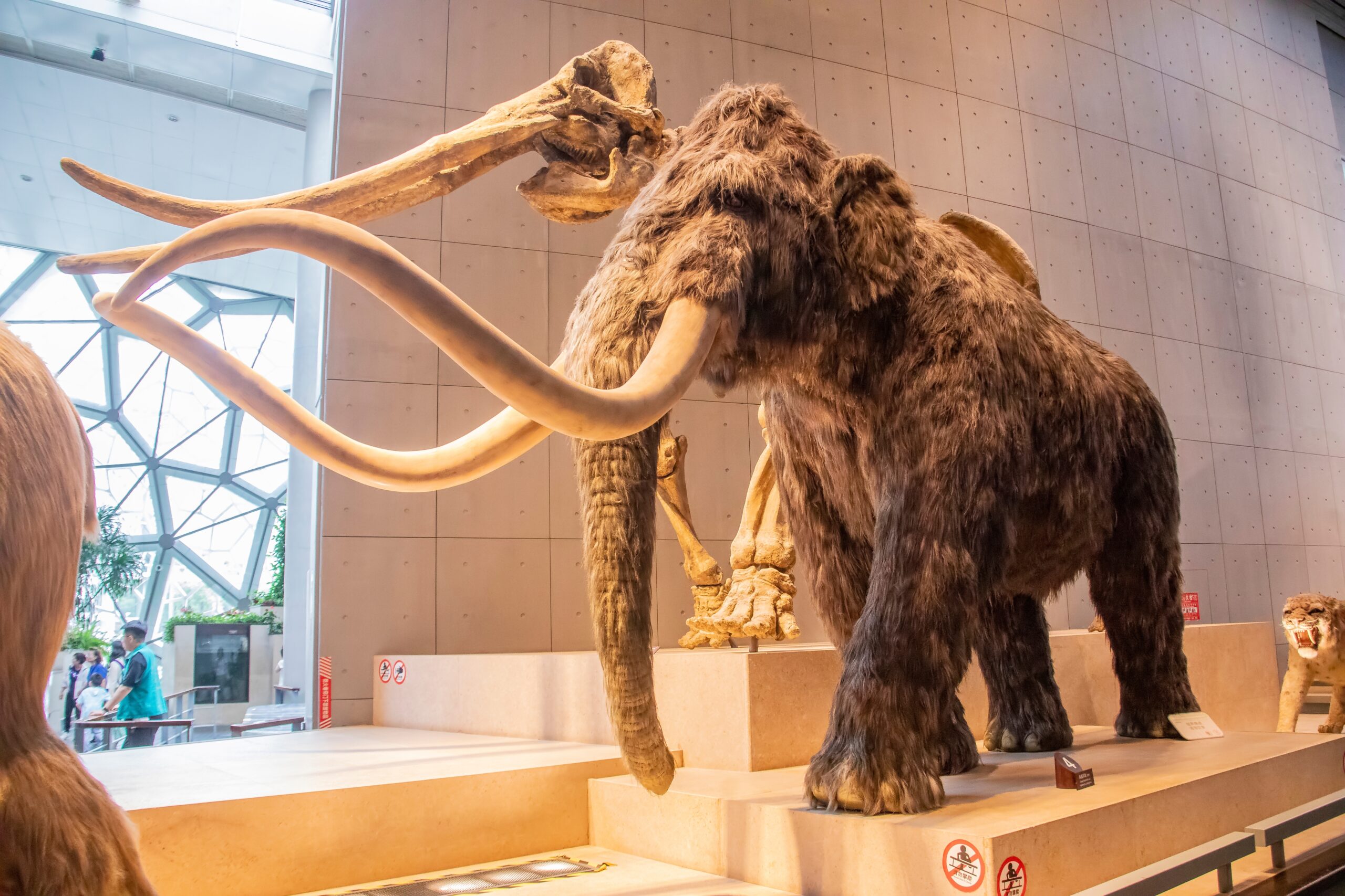 Things to do in Shanghai