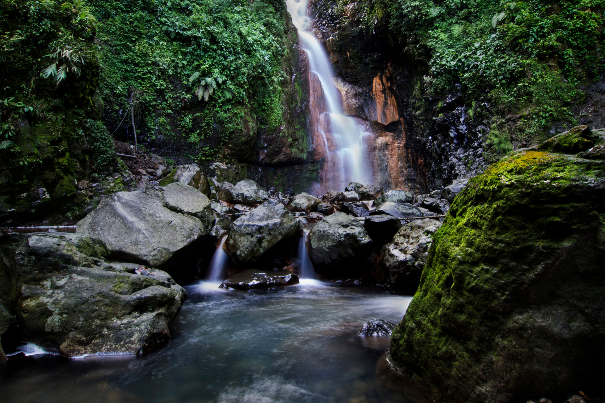 Things to do in Bogor