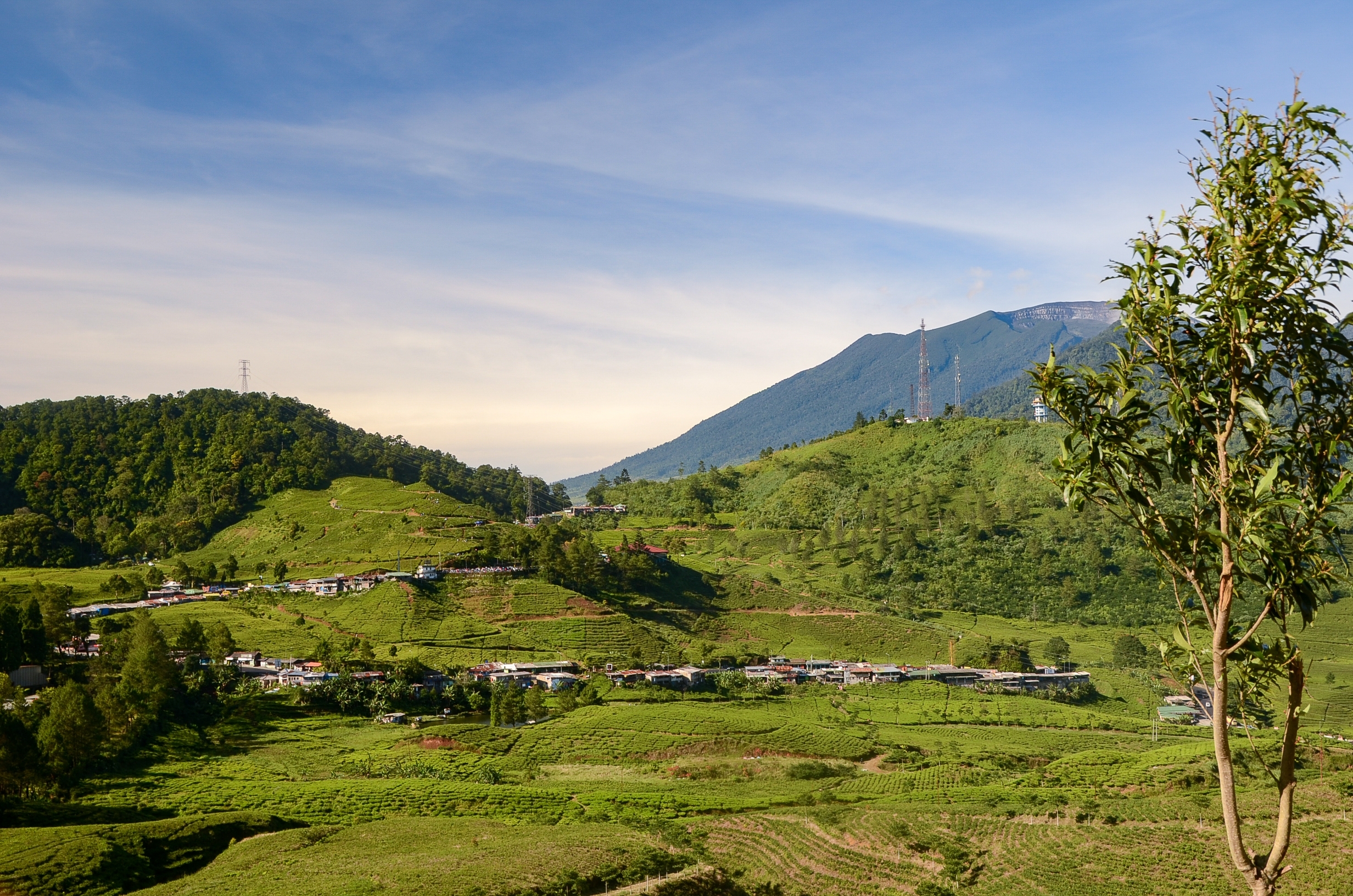 Things to do in Bogor