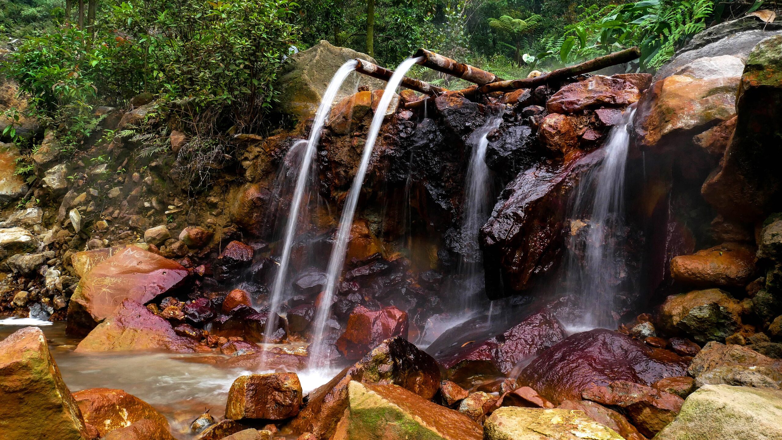 Things to do in Bogor