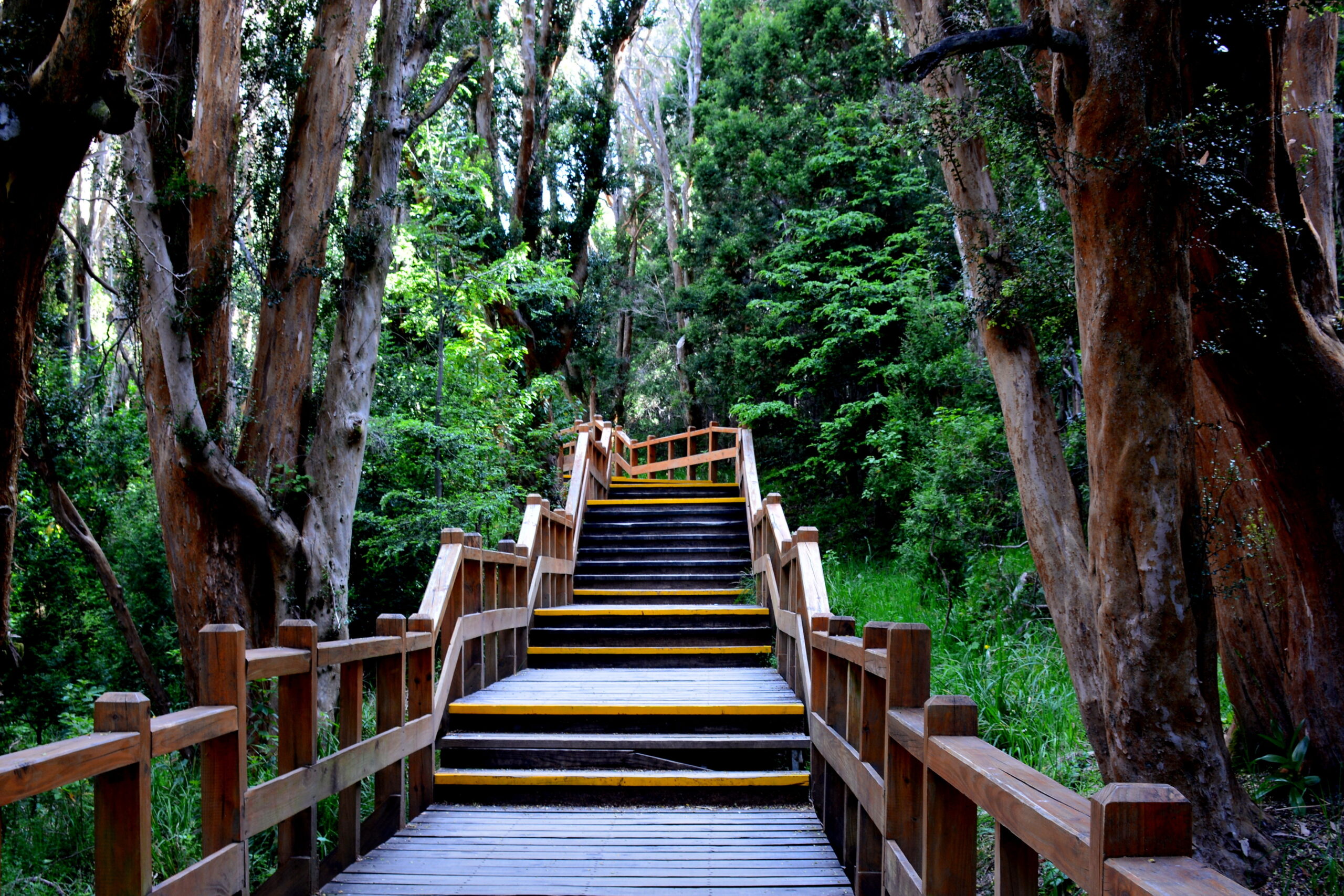 Things to do in Bariloche