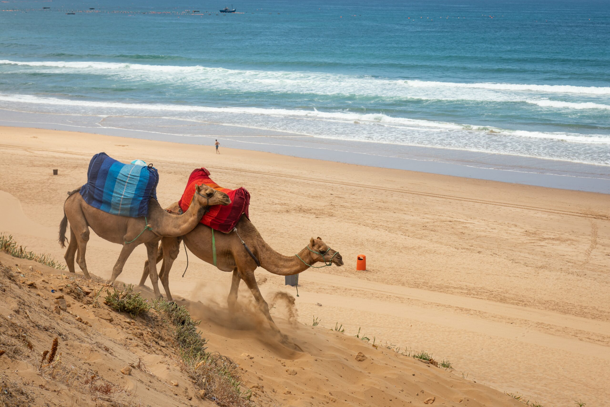 Things to do in Tangier