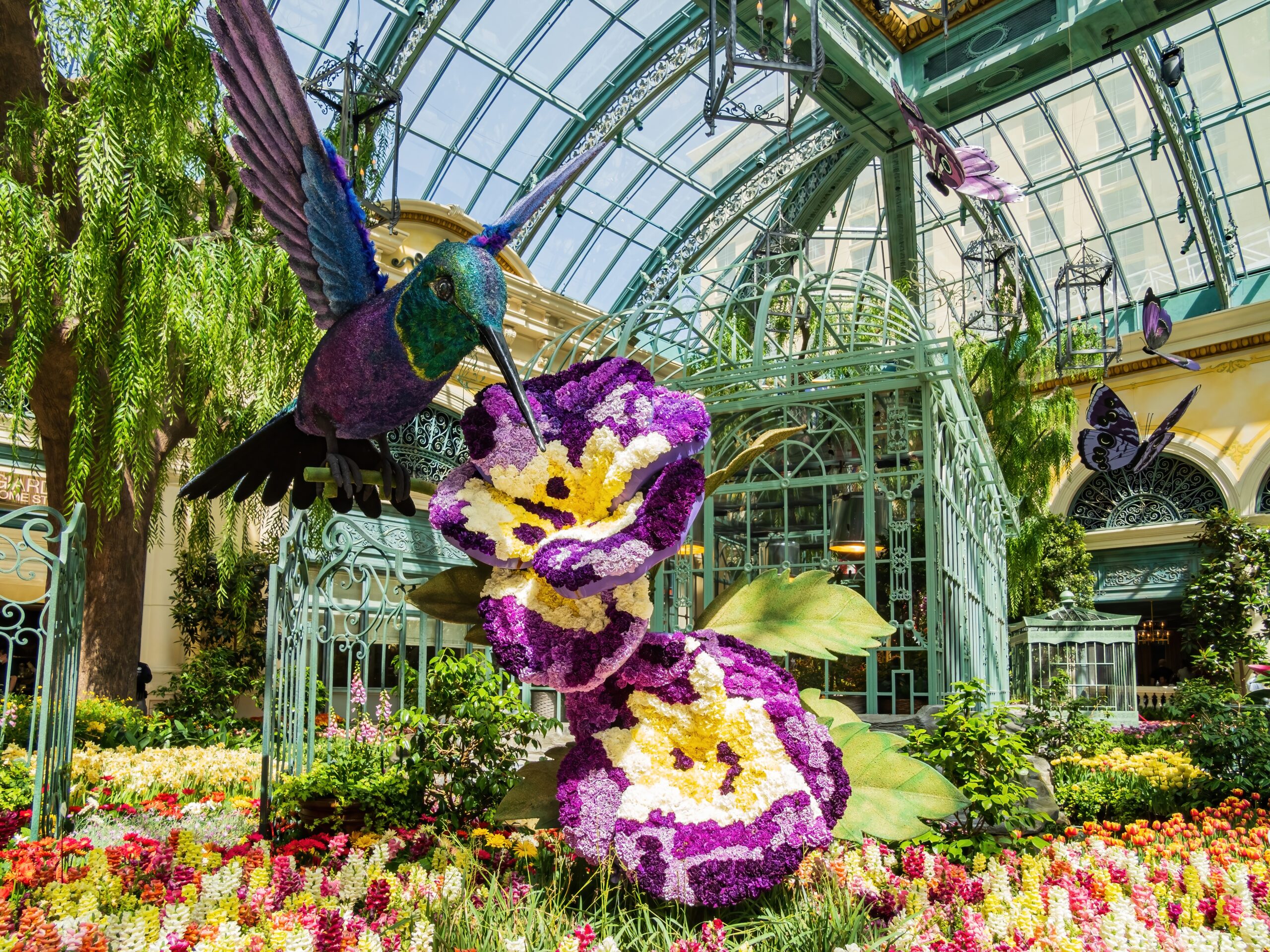 Things to do in Las Vegas