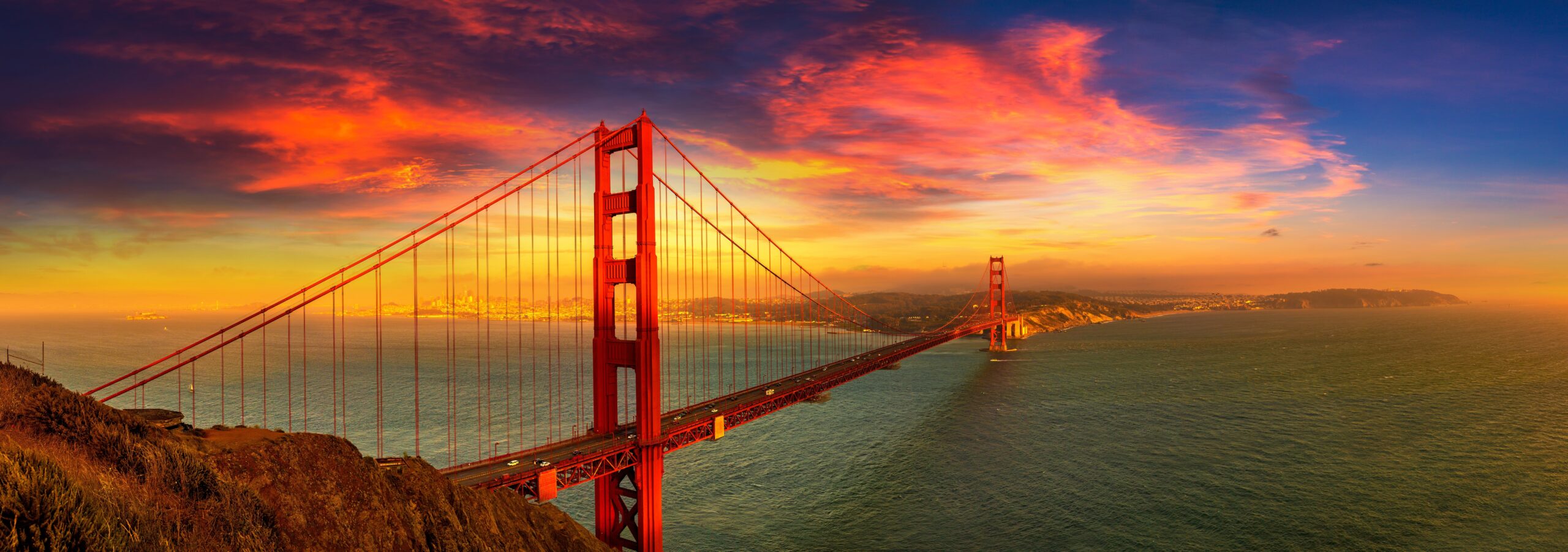 Unforgettable Bay Adventures: Explore the Best of San Francisco with Gray Line