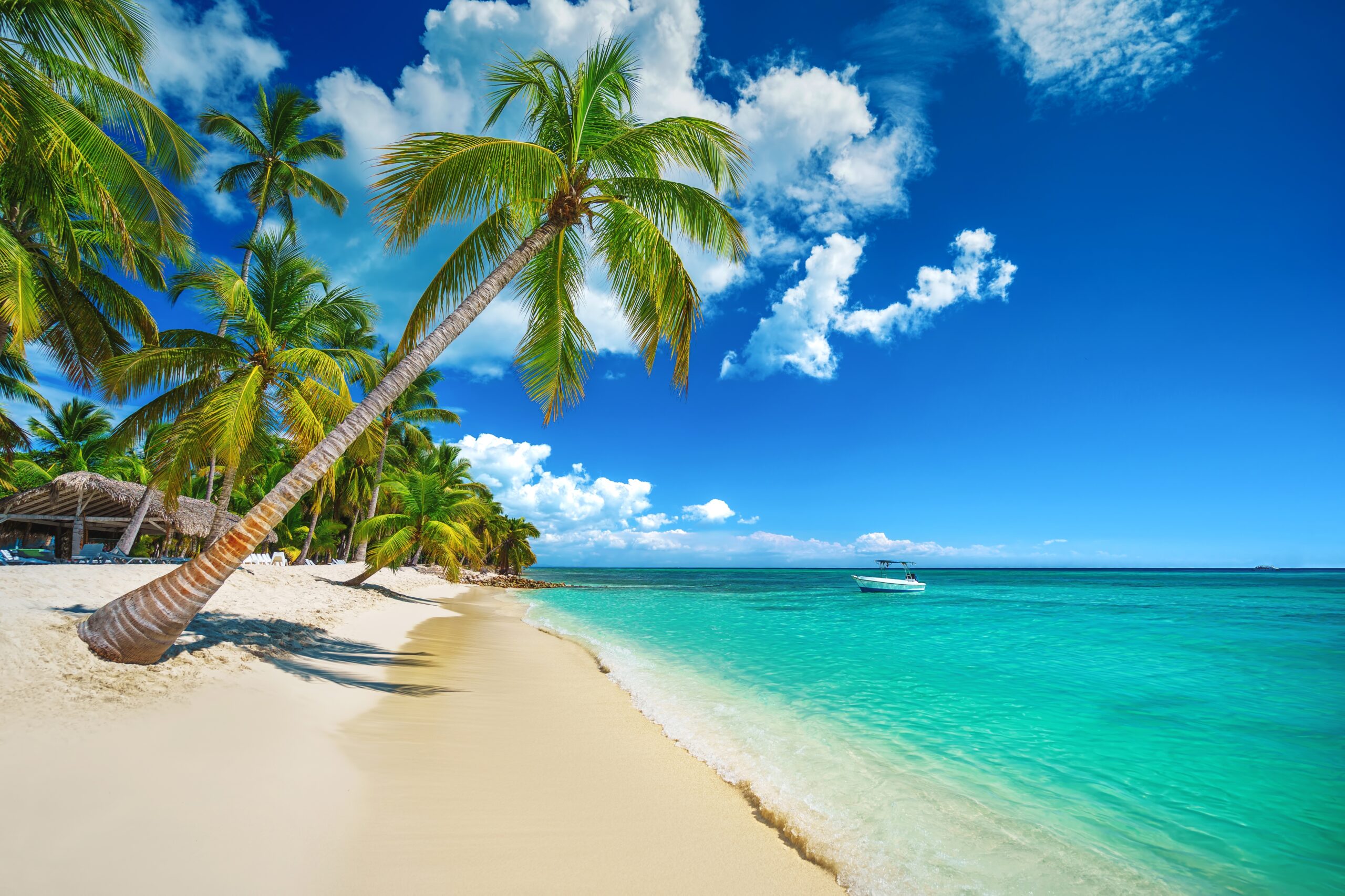 Things to do in Punta Cana