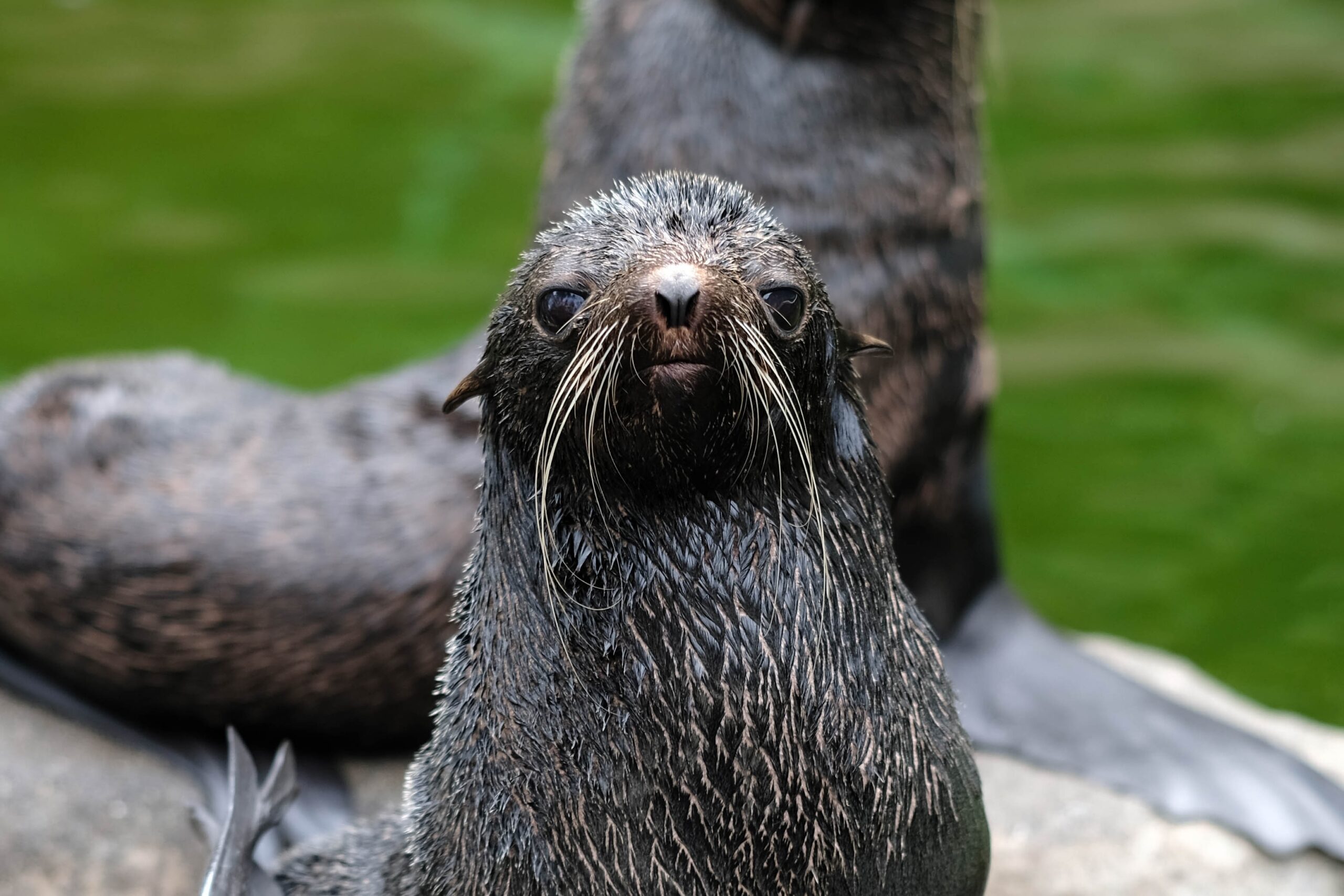 Things to do in Vancouver