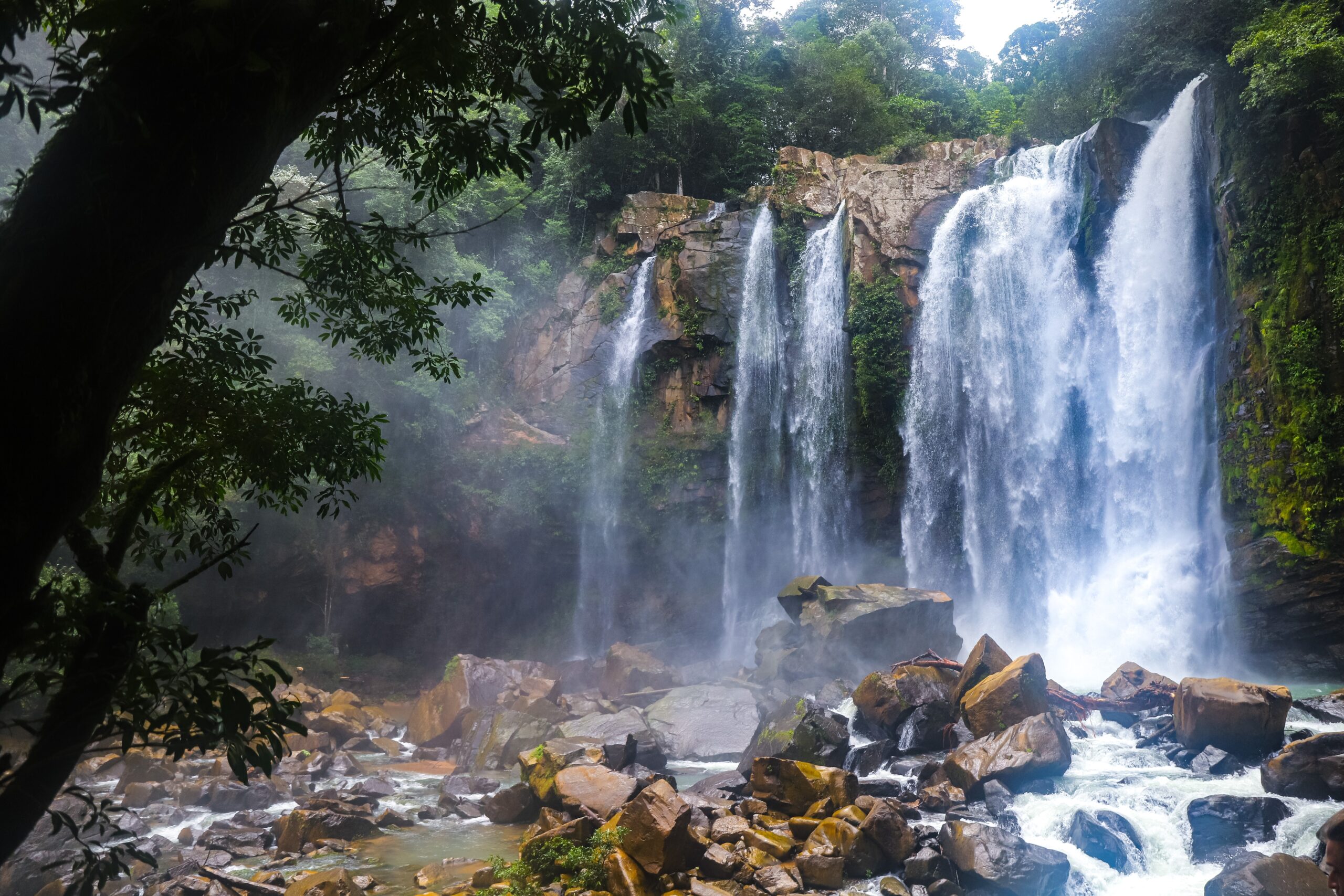 Things to do in Manuel Antonio