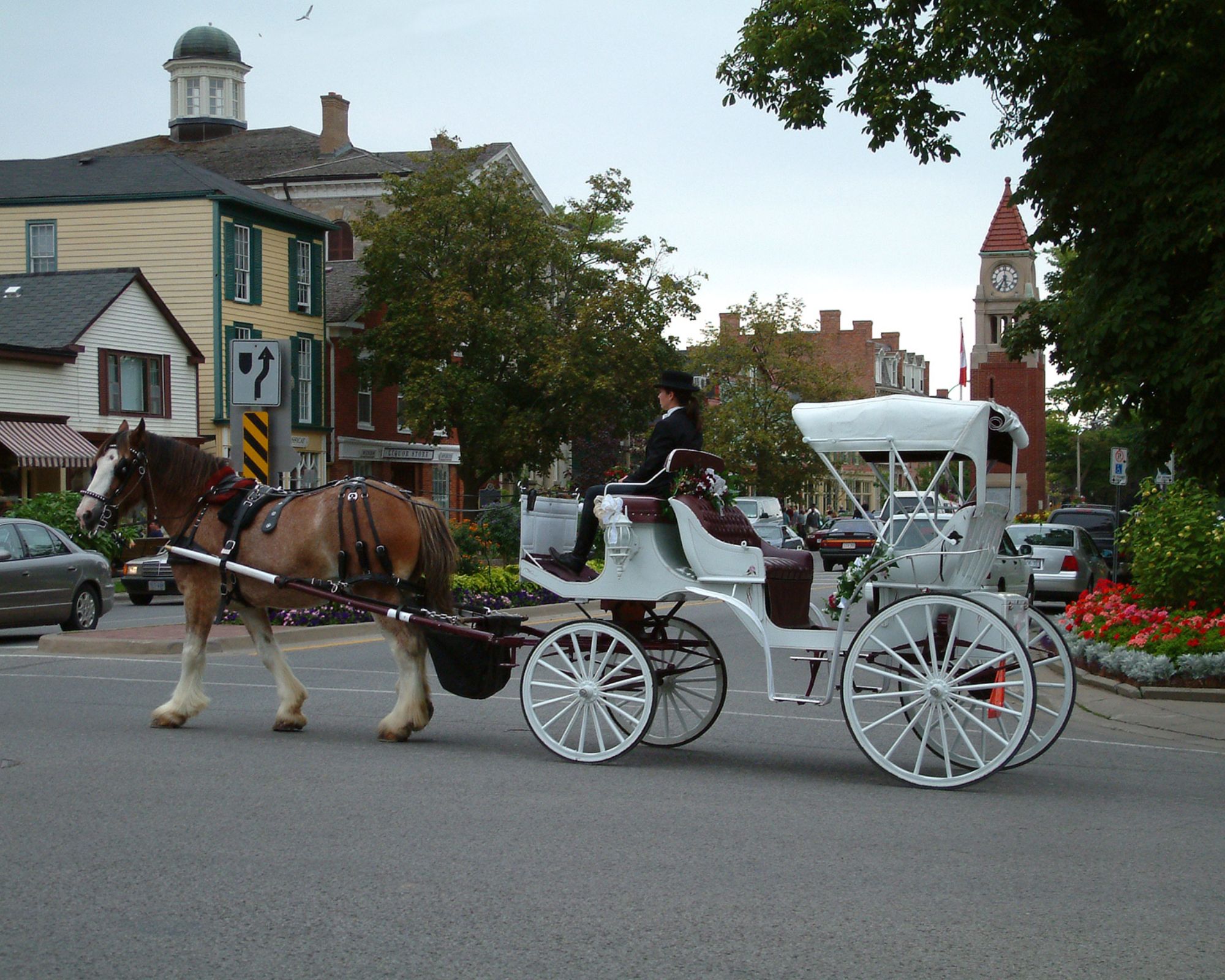 Things to do in Niagara Falls