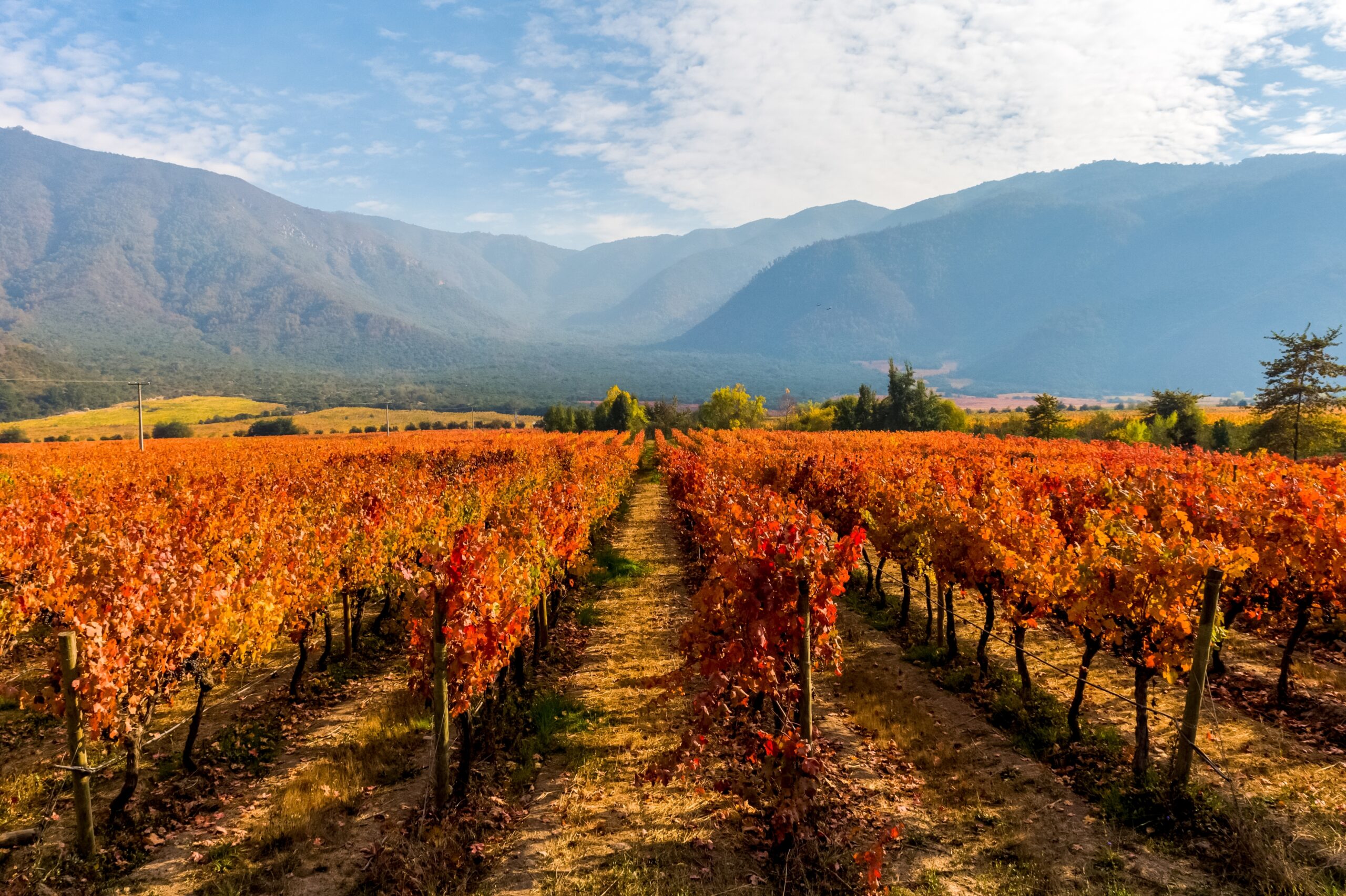 Winery Destinations Around the World 