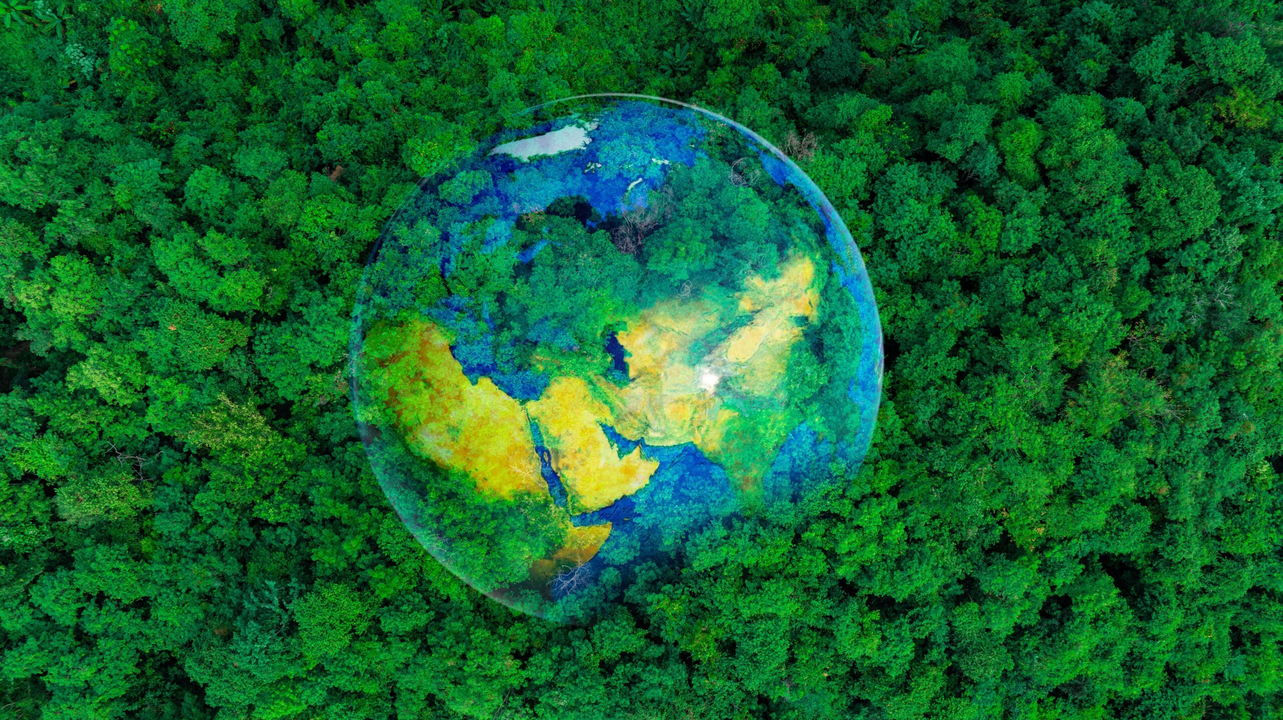 Celebrate Earth Day with These Incredible Nature Tours Around the World