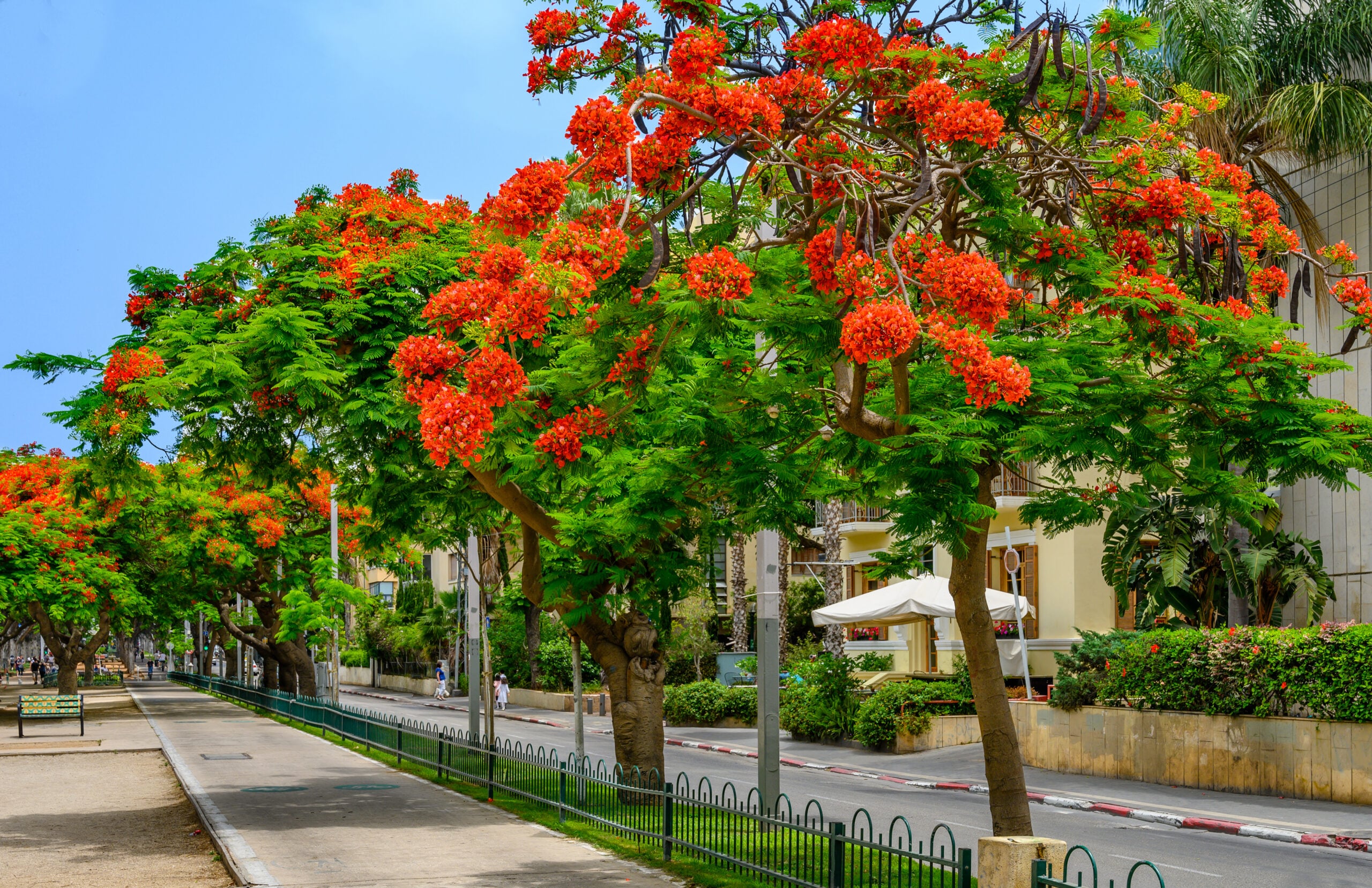 Things to do in Tel Aviv