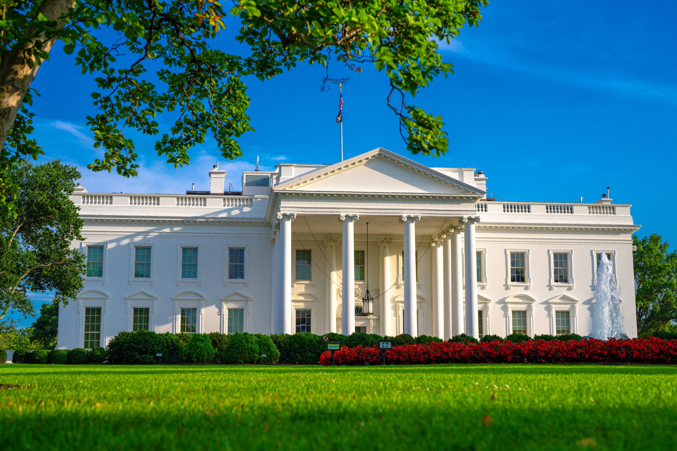 Things to do in Washington DC