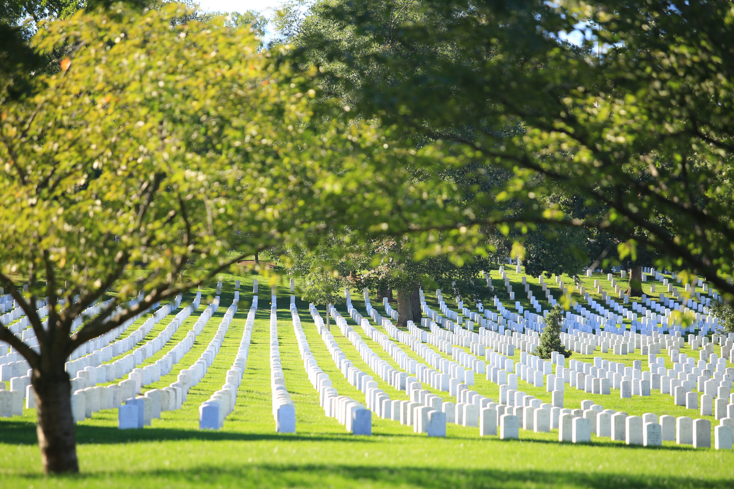 Things to do in Washington DC