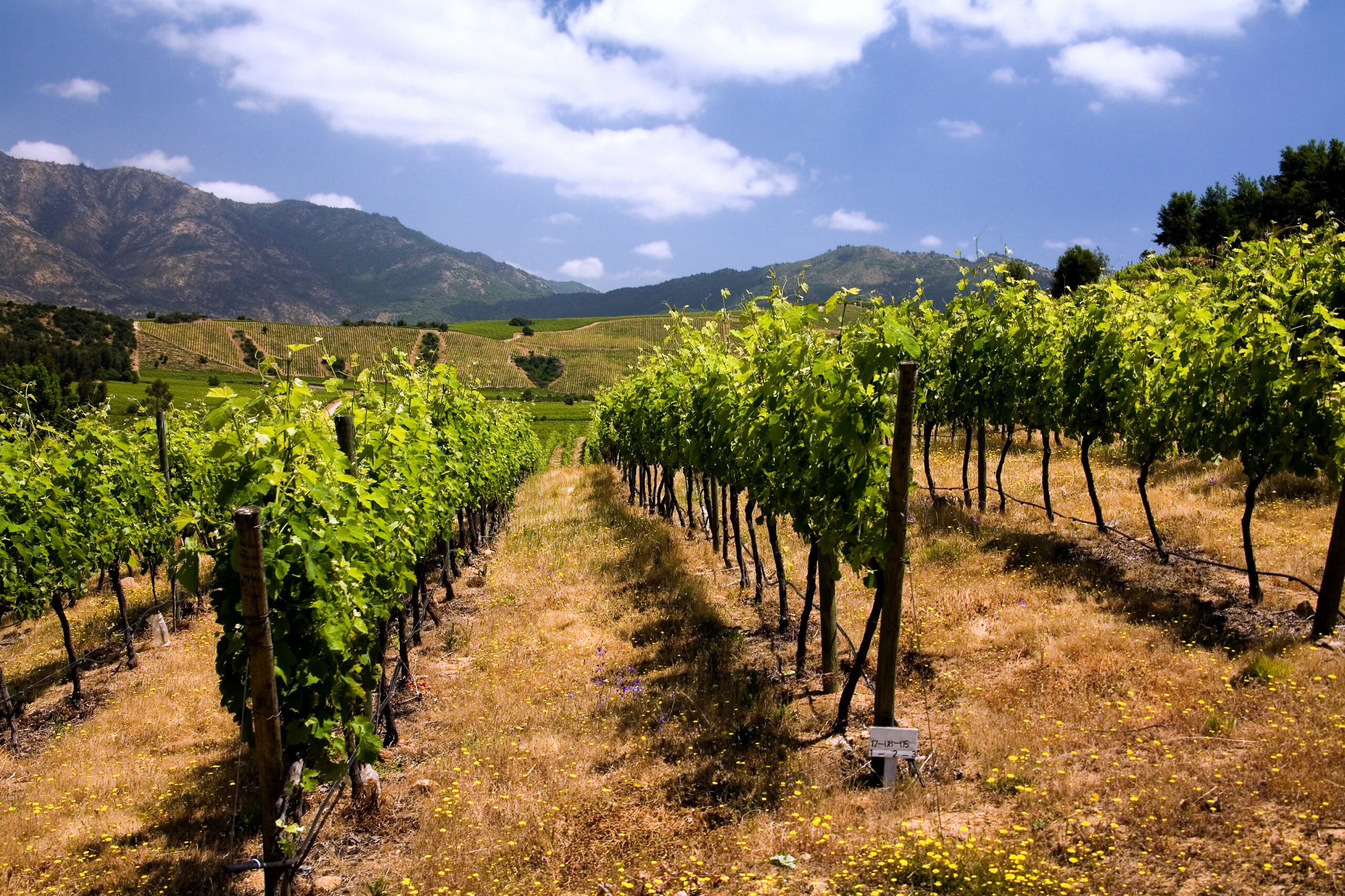 Things to do in Santiago