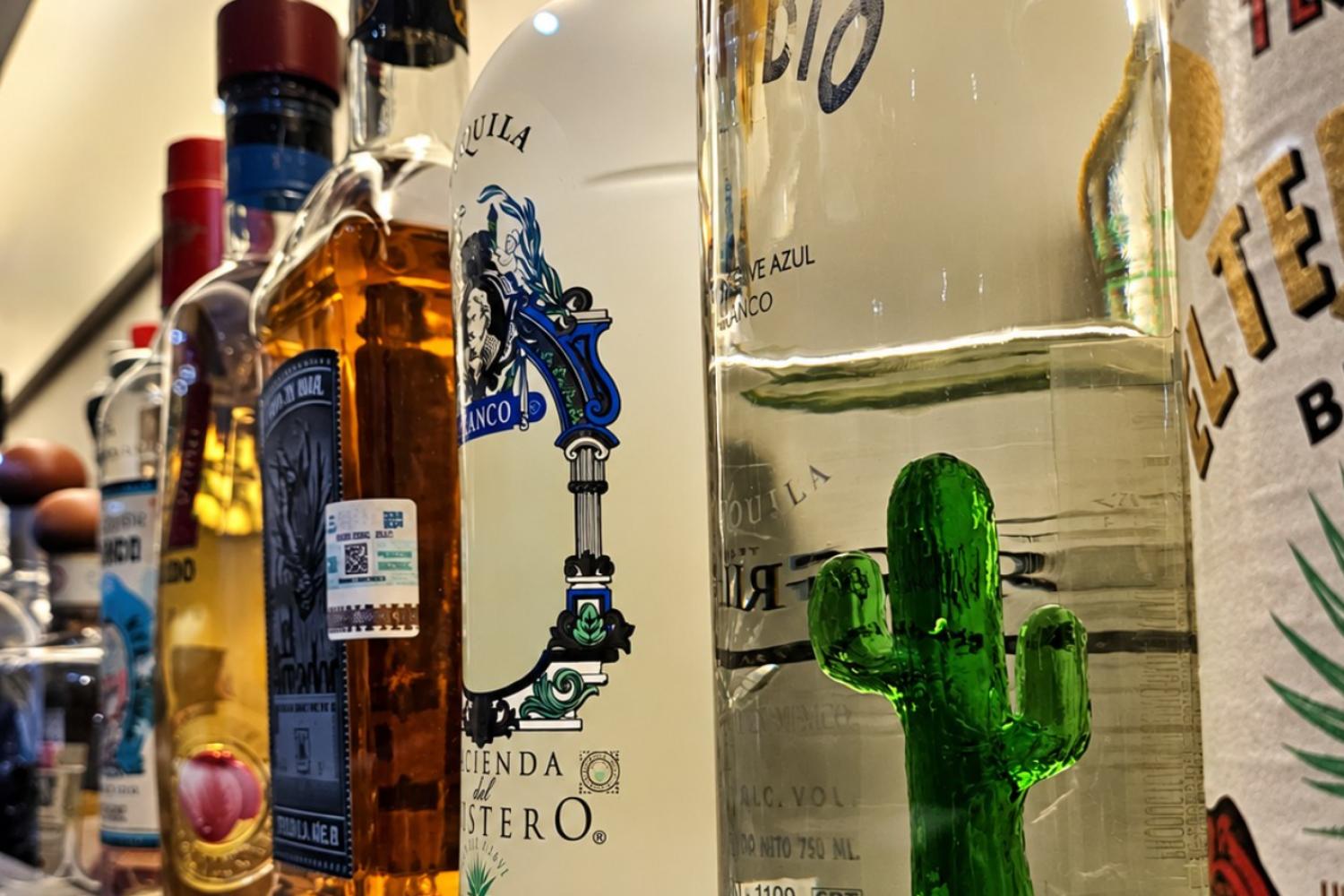 Things to do in Mexico City