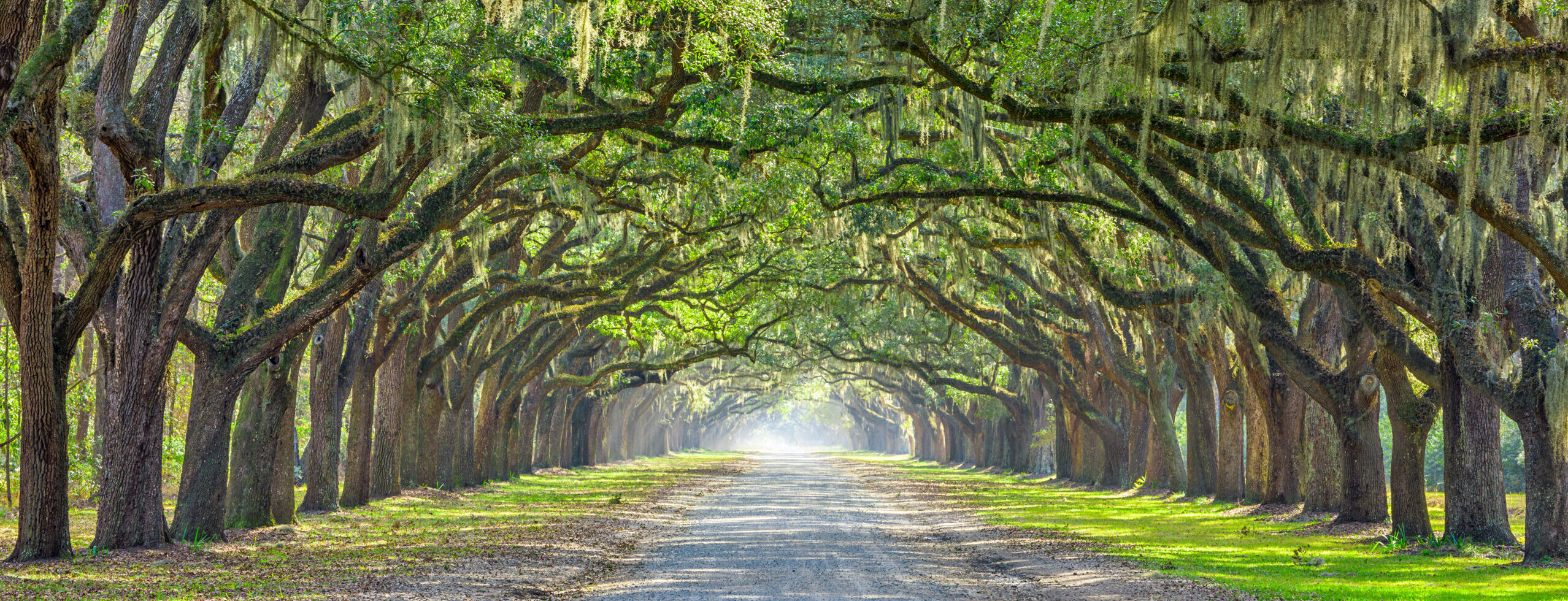 Is Savannah a Good Vacation Destination? Explore the Hostess City with Gray Line
