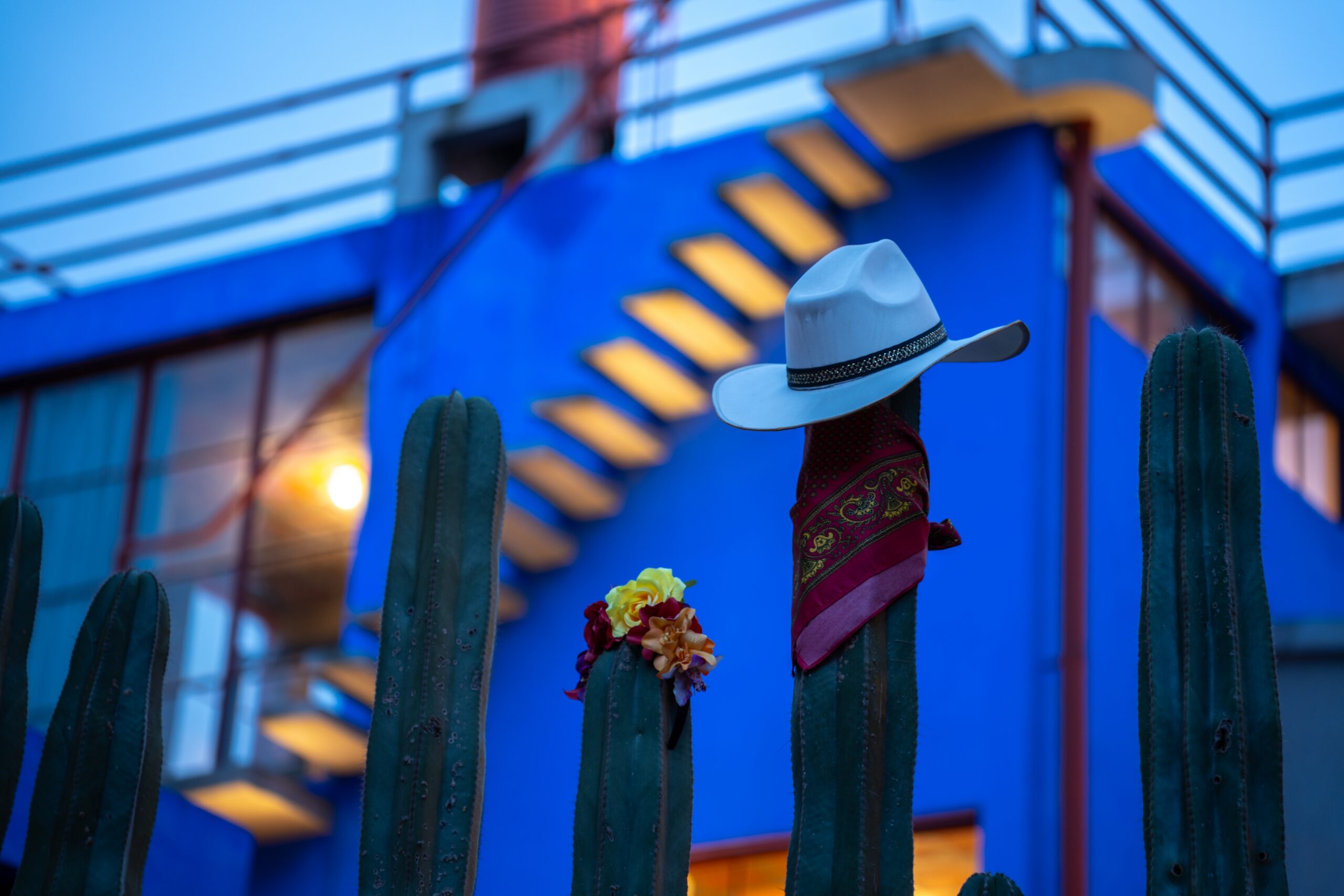 Things to do in Mexico City